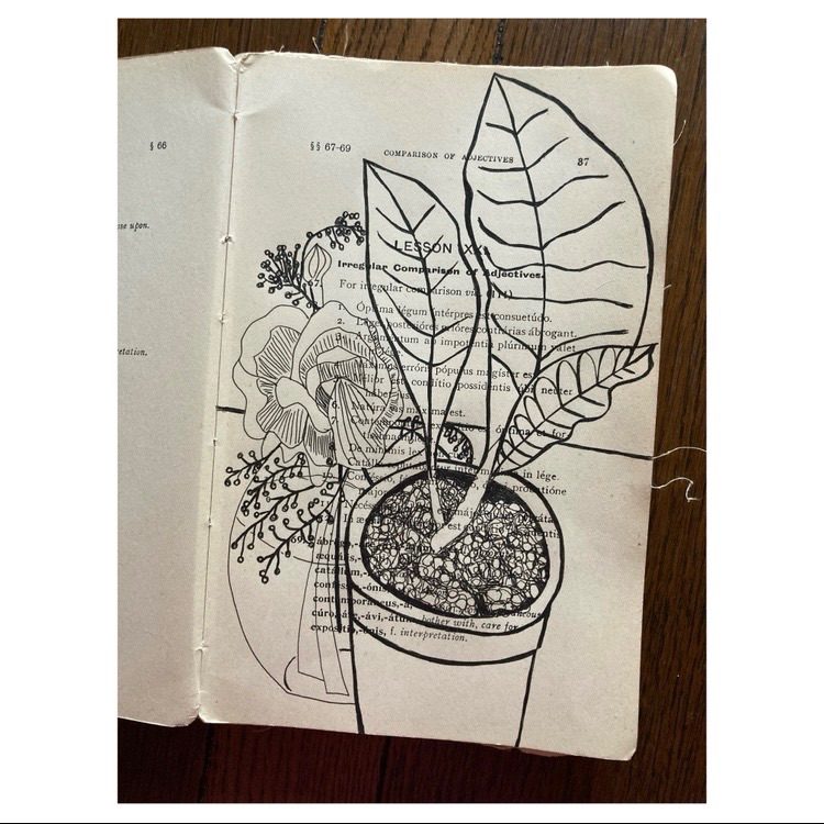 Still life with plant and flowers. Pen on book page