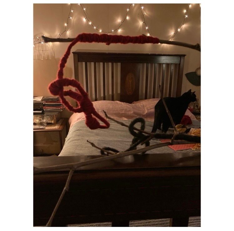 Photograph of woven branch on a bed with a black cat