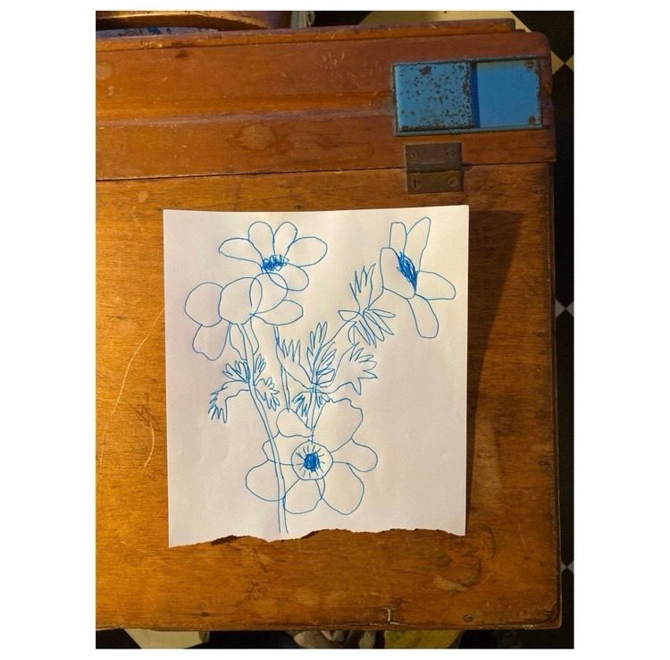 Drawing of anemones, blue biro on torn paper