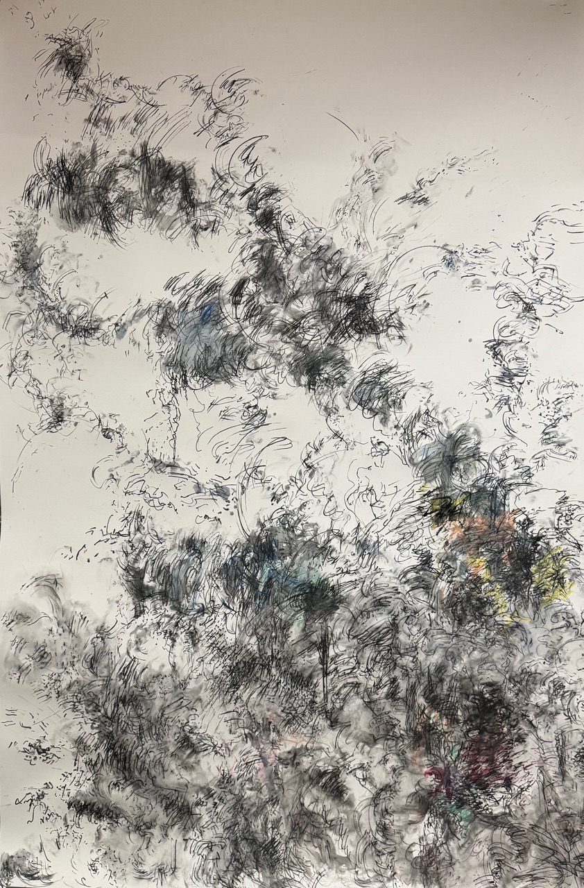 Vigourous water colour pencil on paper 185 x 125 cm