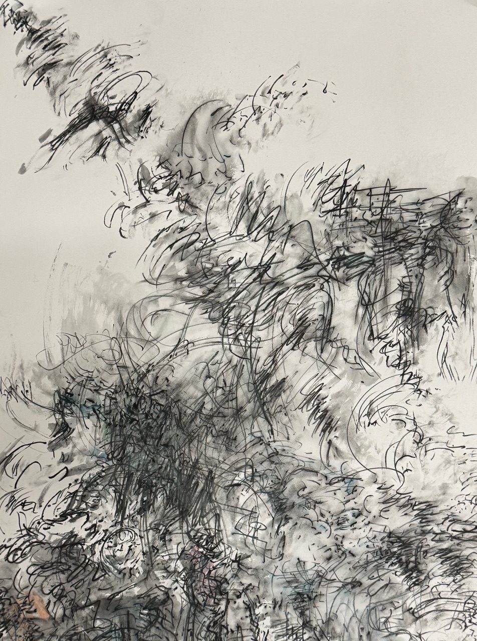 Watercolour pencil on water colour paper 76x53cm