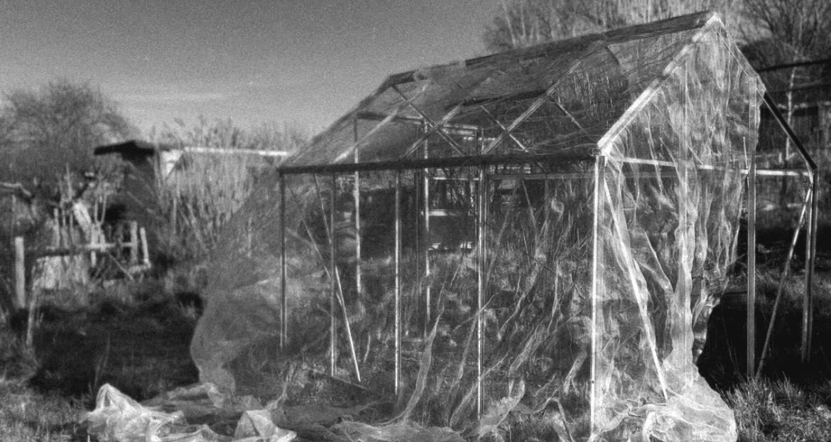 Black and white image of a gauzy  fabric draped over a greenhouse missing glass