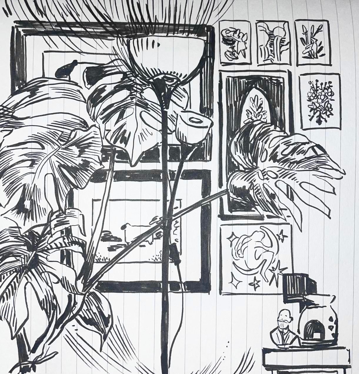 Line drawing of large monstera house plant a lamp and several picture frames behind them