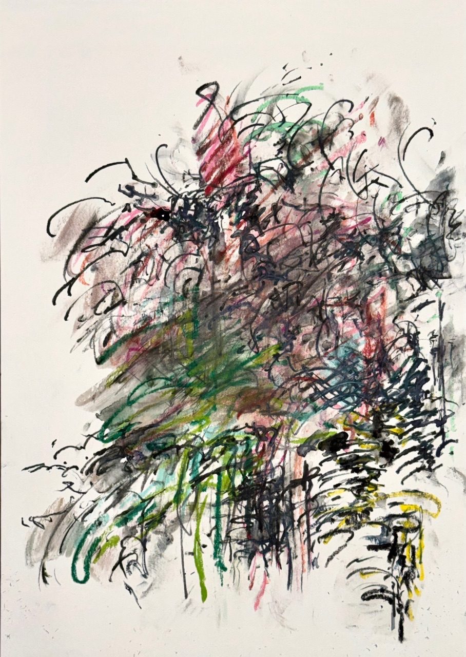 Vigorous water soluble pencils coloured line drawing on A3 paper