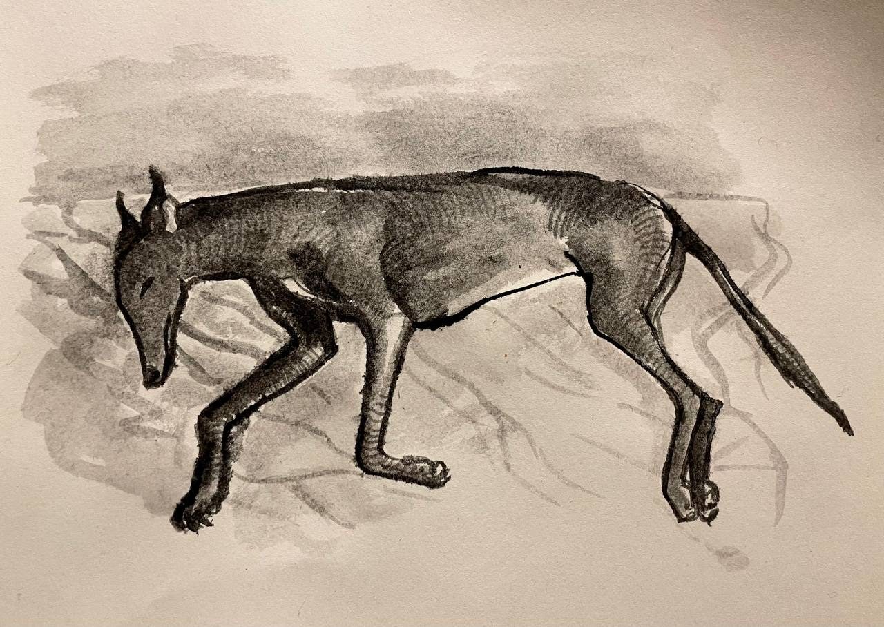 Ink painting of a sleeping greyhound