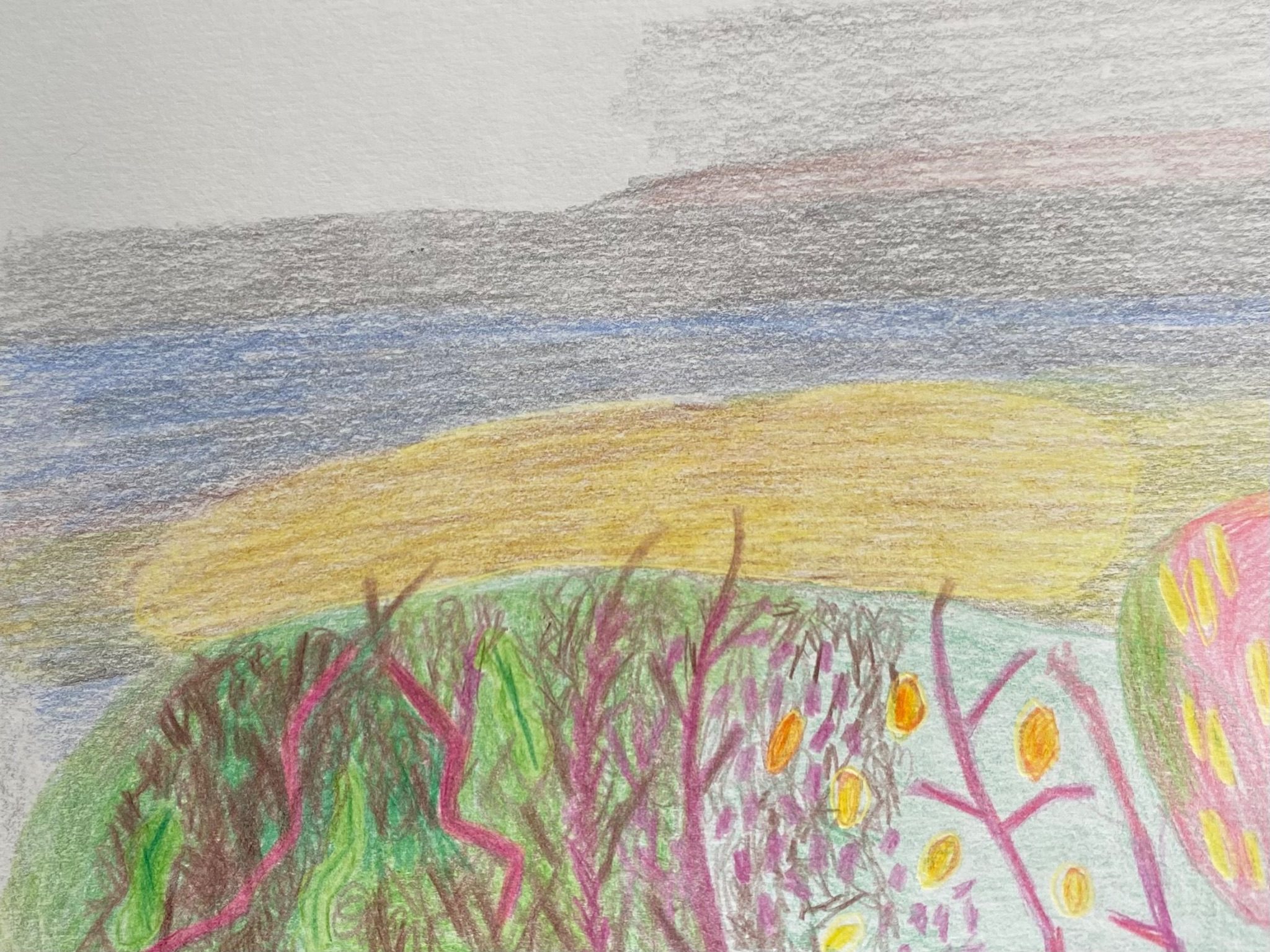 Colour pencil drawing