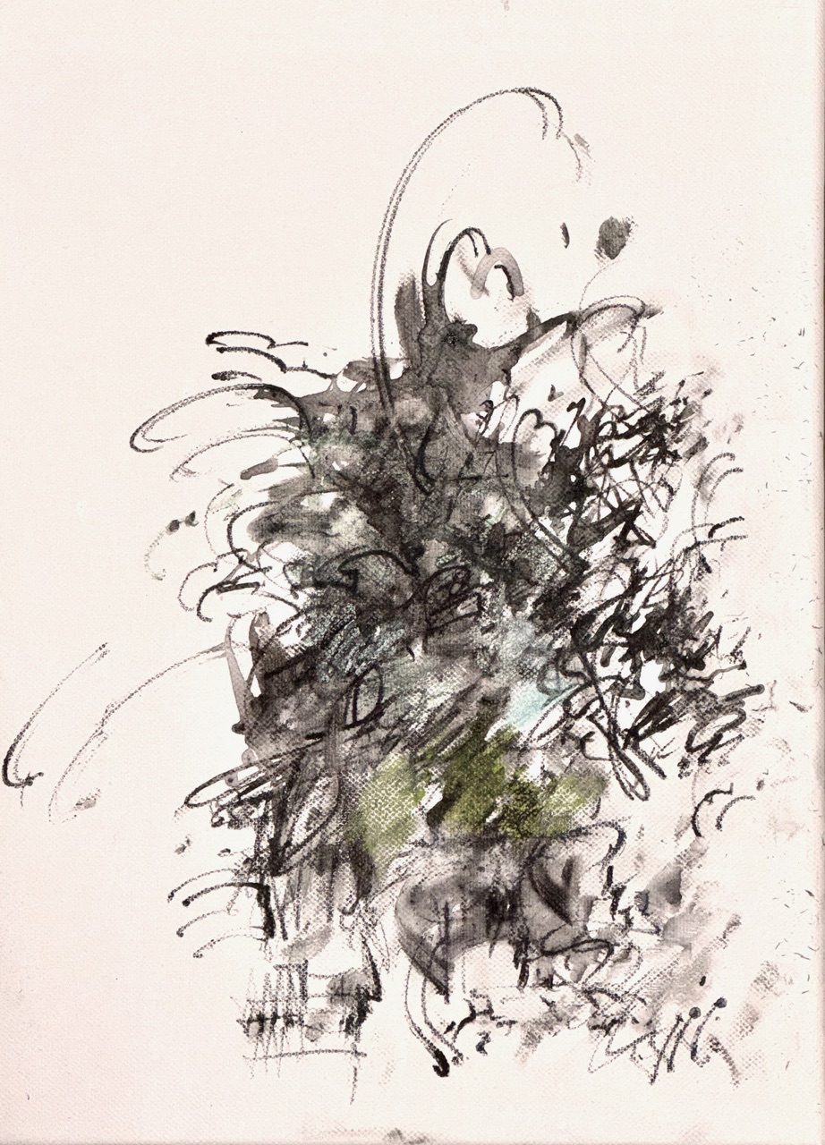 Water soluble pencils on canvas. Vigorous lines on 24x30cm canvas