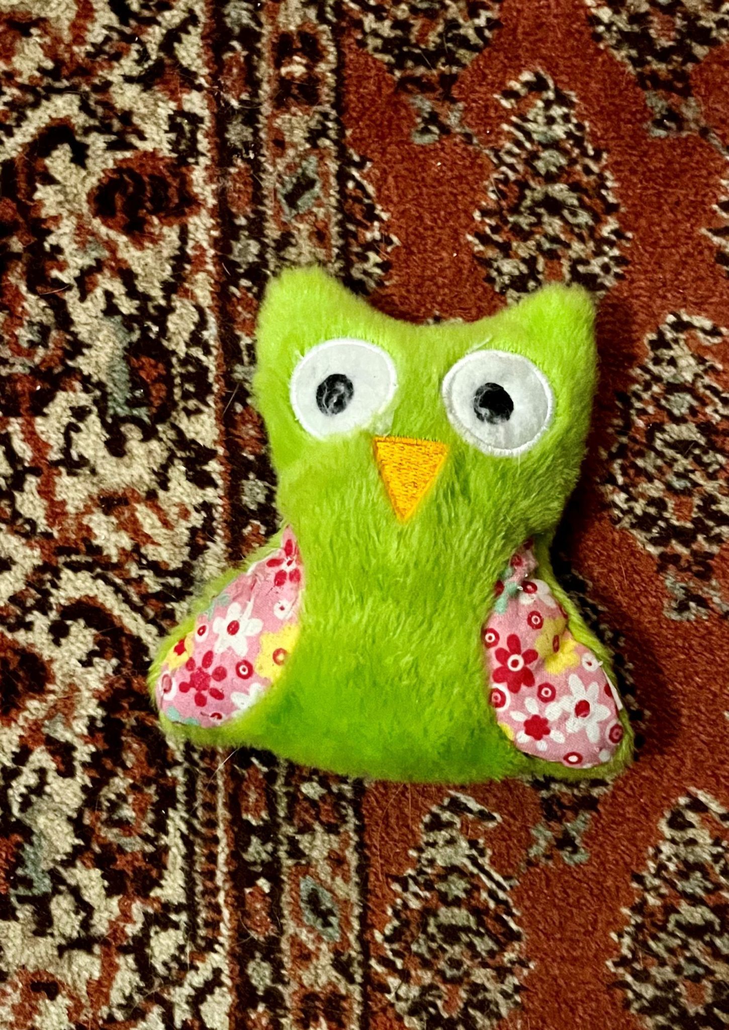 It`s a photo, showing a little green owl (a soft cat`s toy) lying on a carpet with a red and white pattern.