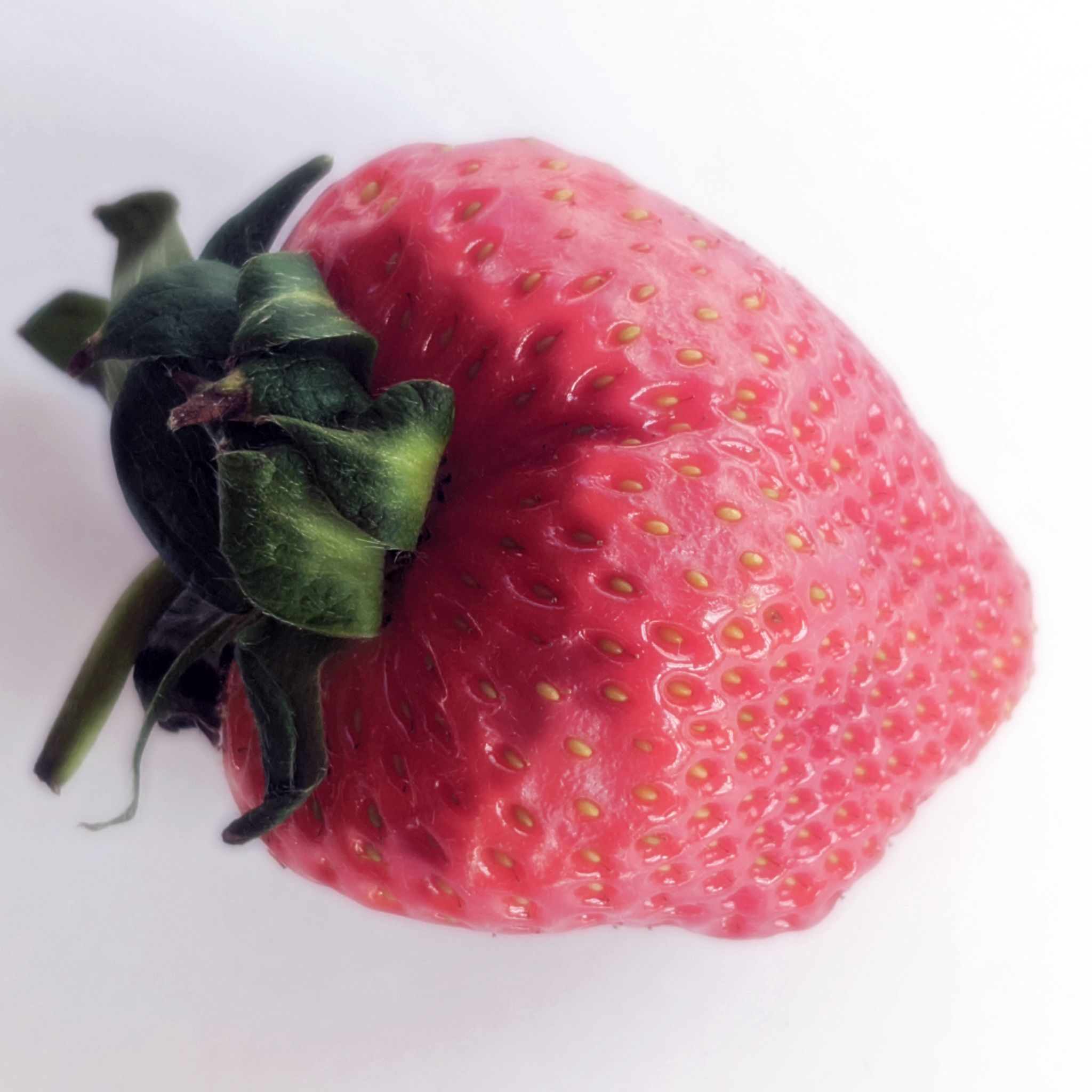 photo of a delicious strawberry