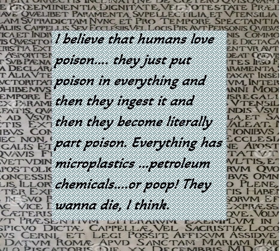 when scanning the QR code included in the painting of Marjorie, this image with words appears