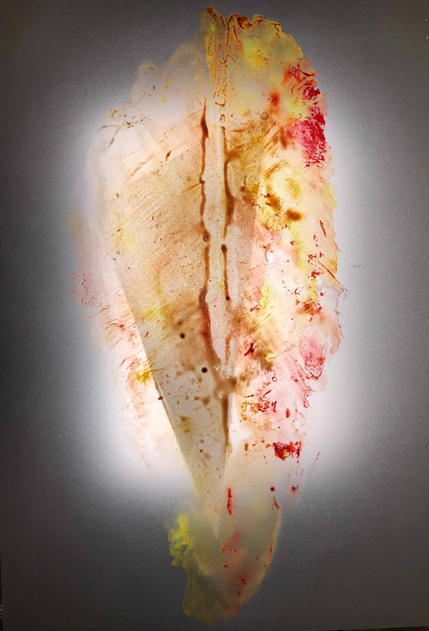 A leaf was impregnated with acrylic paint then stamped onto translucent paper, using a backlight a photo was taken