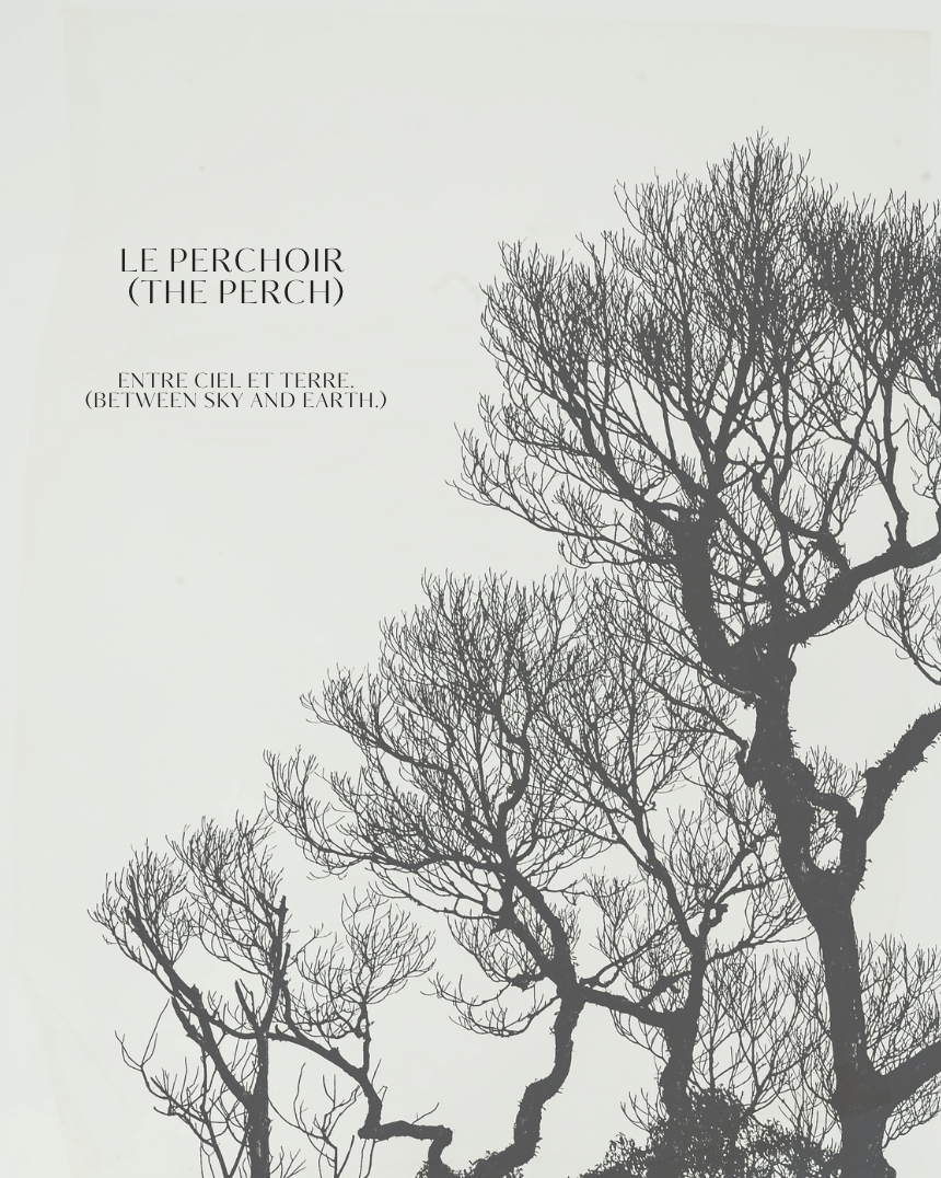 A high-contrast silhouette of intricate, leafless tree branches reaches up against a stark white sky, resembling a delicate ink drawing. In the open negative space, elegant bilingual text titled 