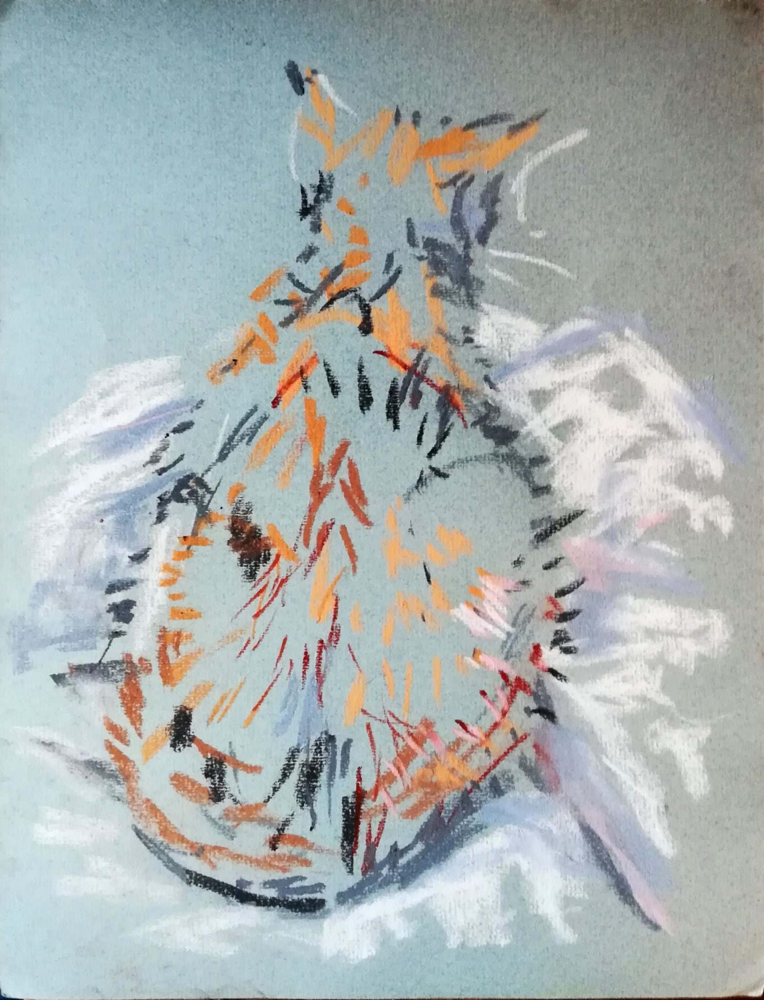Quick pastel sketch of my cat, rear view, lying on a white sheet
