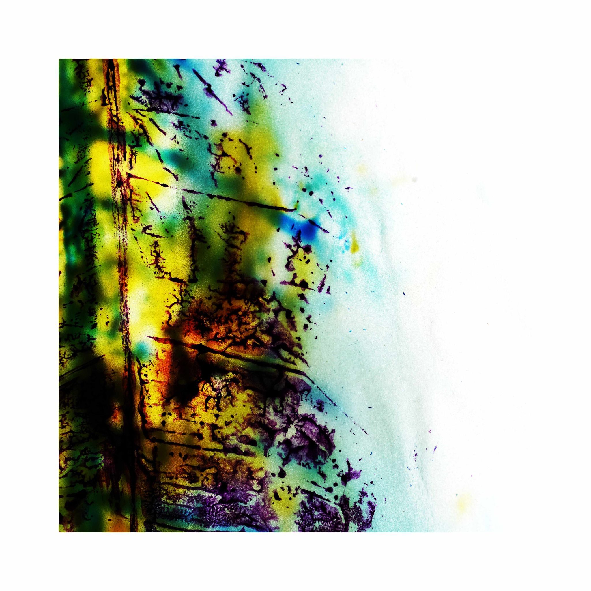 Close up photography