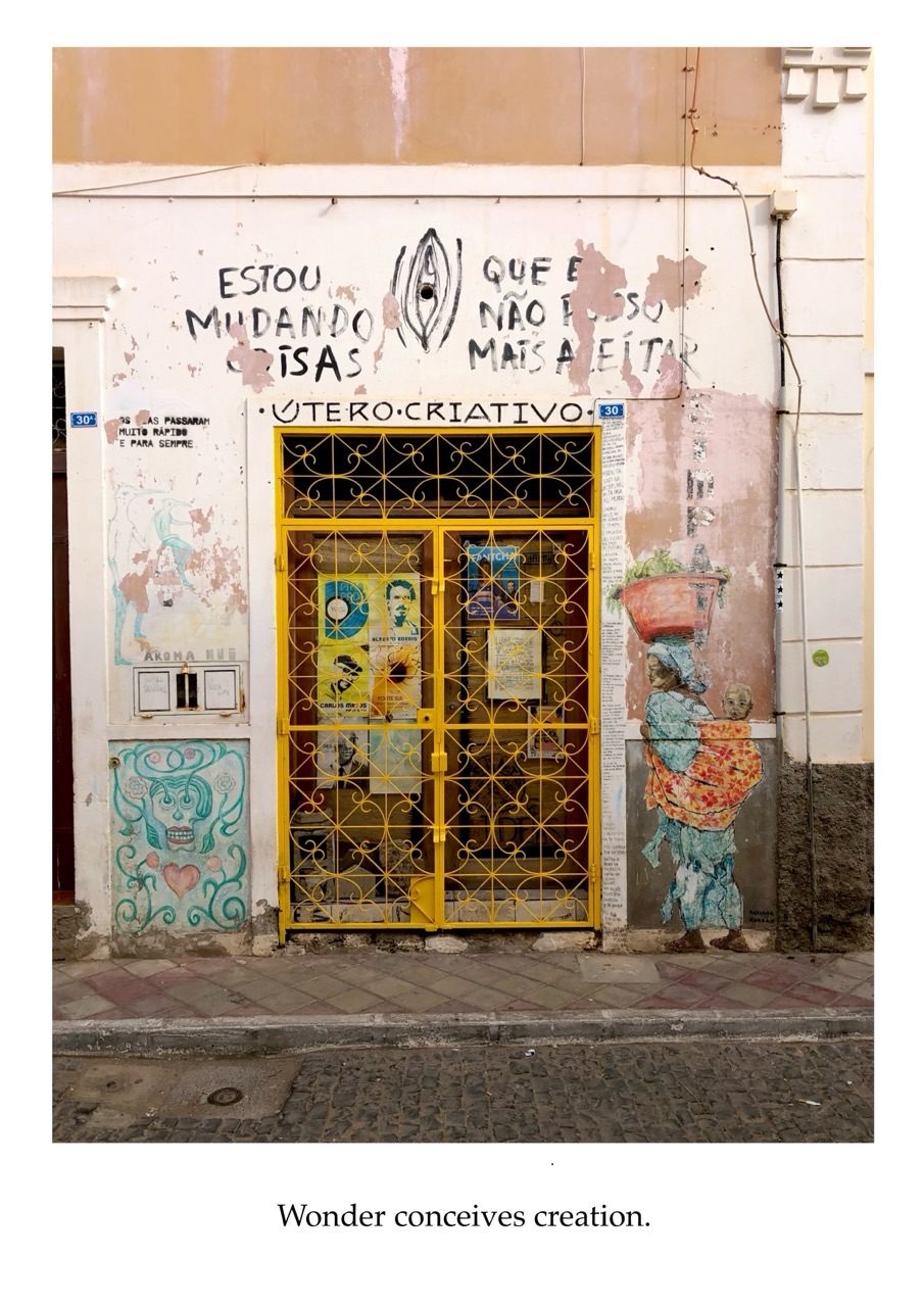 Wonder conceives creation.