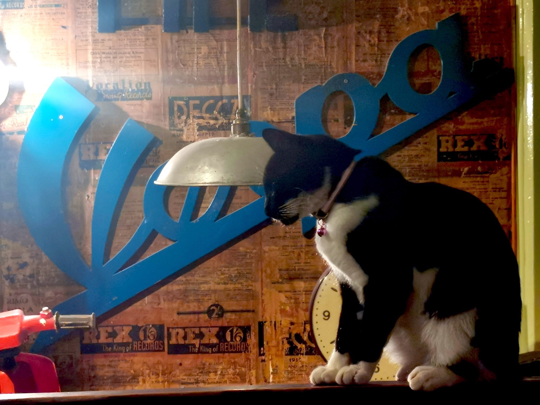 A black and white cat sits on a ledge next to a saucer shaped ceiling lampshade hanging down and a blue sign saying 'Vespa''. The handlebars of a red moped at bottom left. Sun shines in through a window top left.