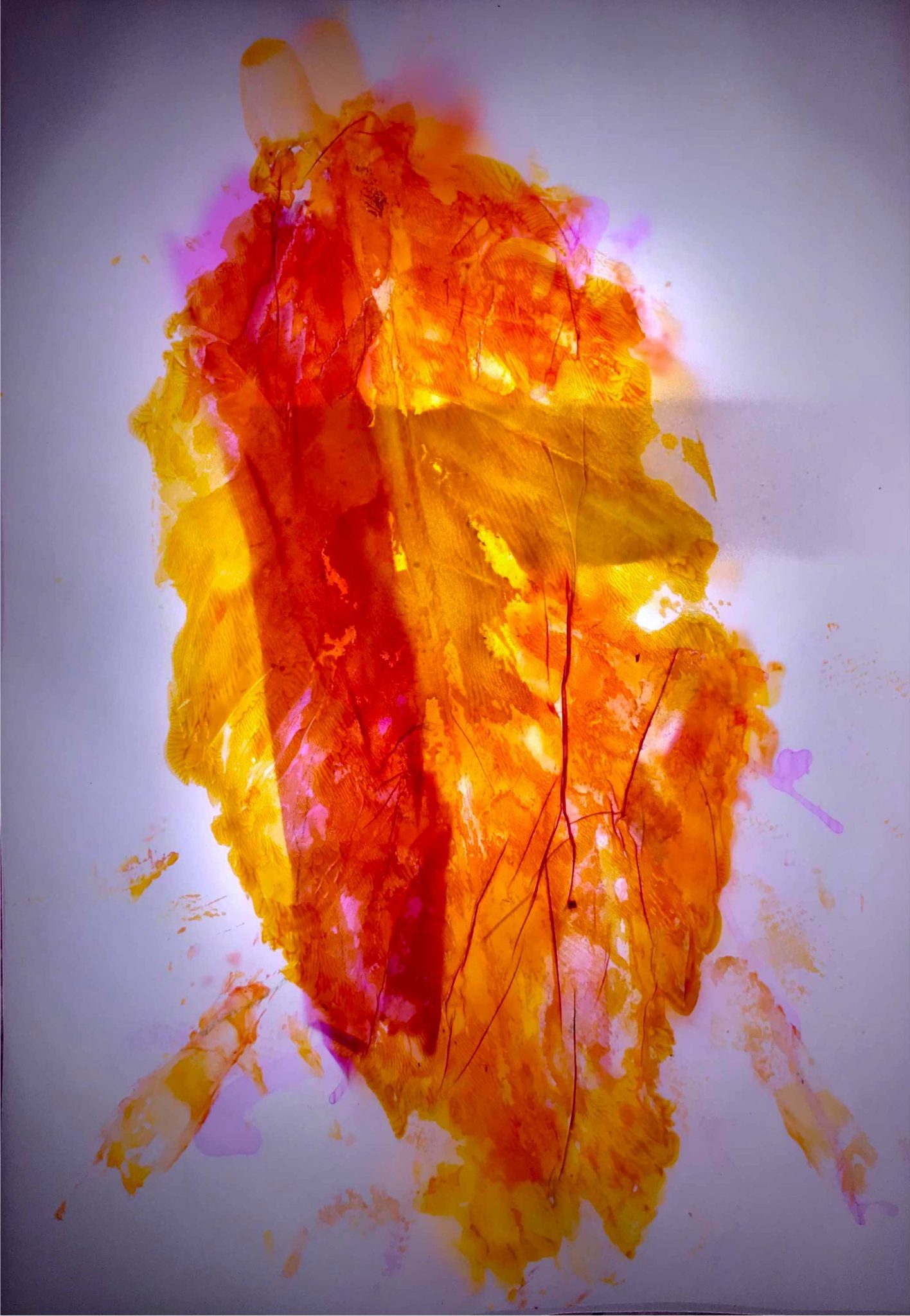Stamped leaf with red and yellow acrylic on translucent paper, photographed with background ligh