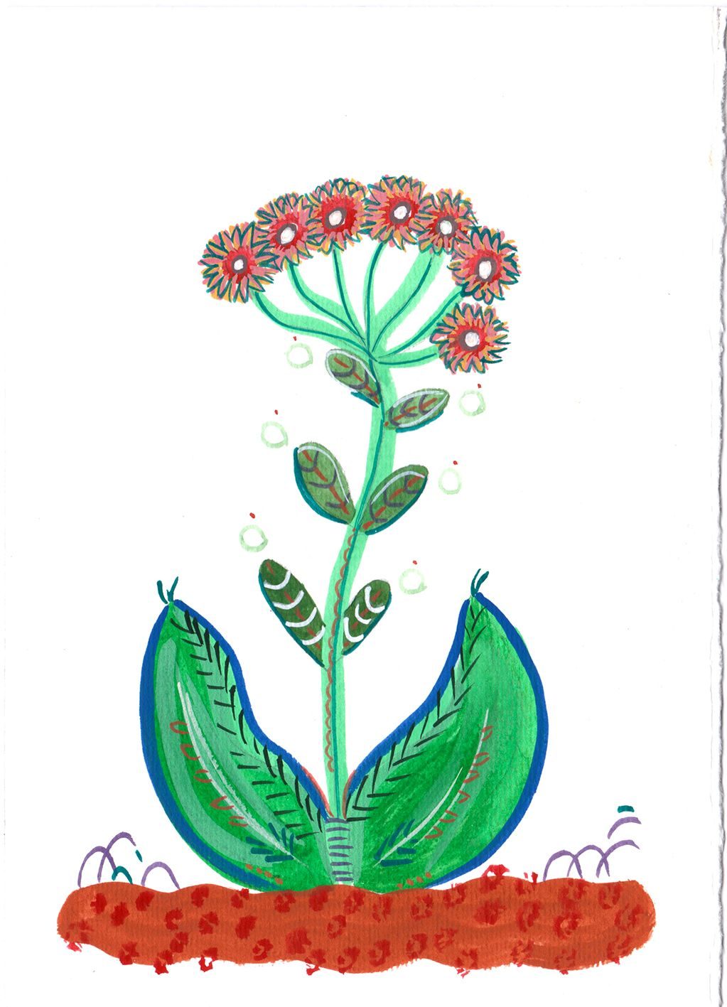 A plant growing and flowering from leopard print style soil