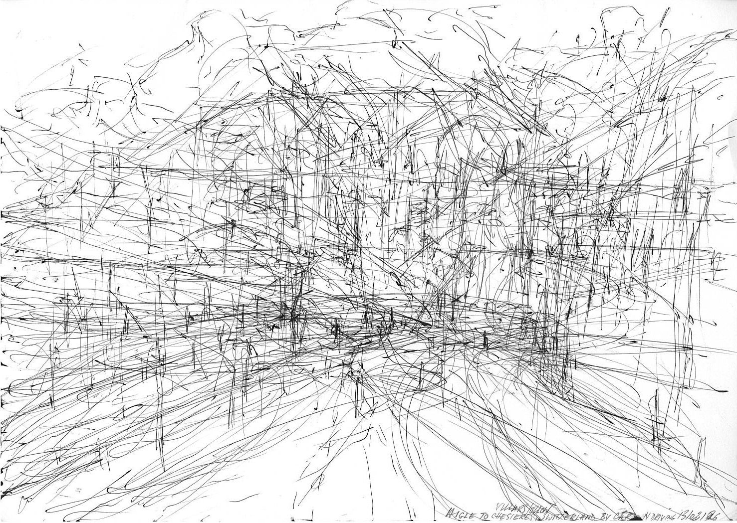 Ballpoint pen drawing on 29x39 cm paper. I am drawing during a car trip. I draw the landscape but the landscape change all the time as we are driving (and chatting at the same time) the drawing end up being an abstract record of the journey
