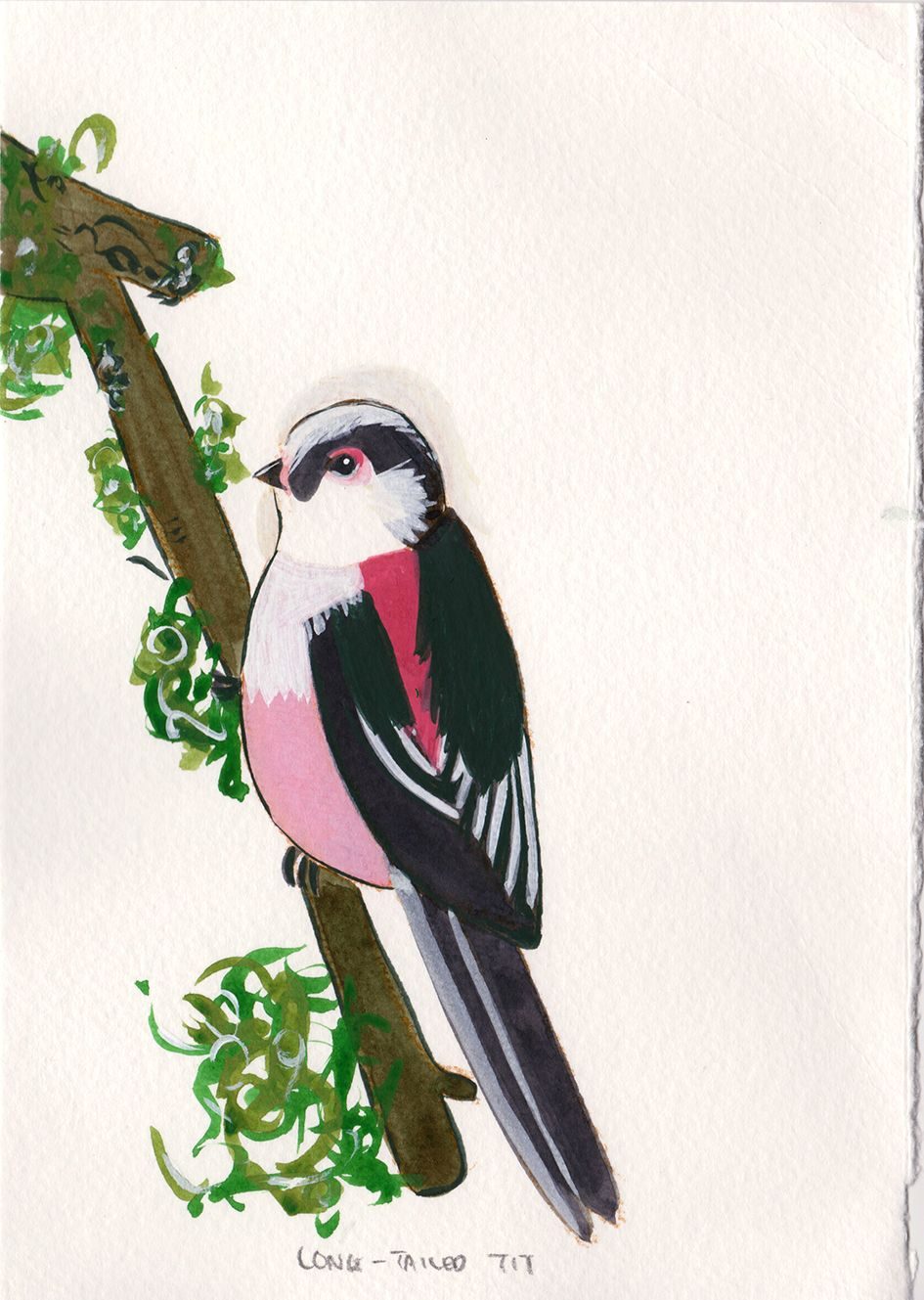 A painting of a Long-tailed Tit on a tree branch