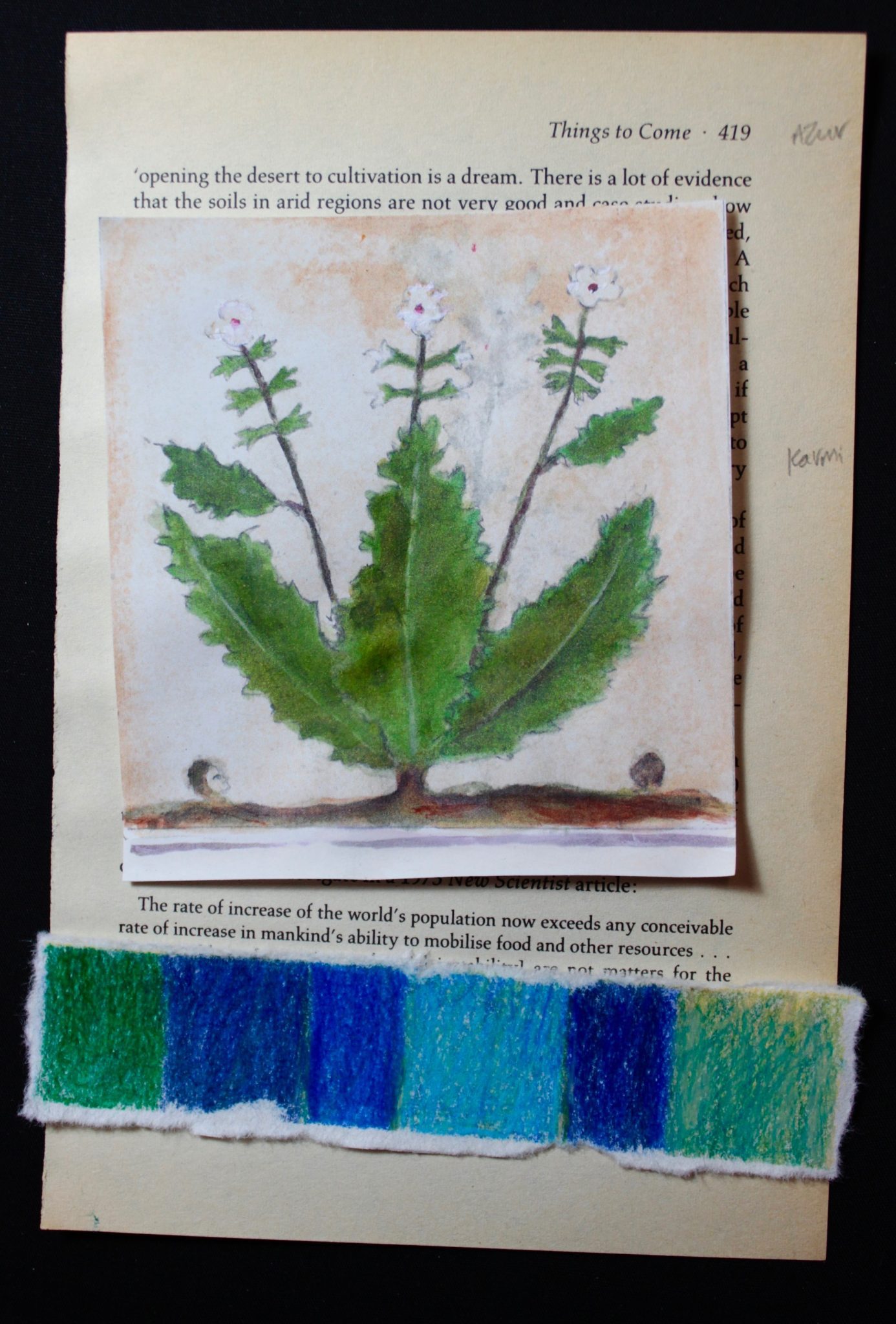 collaged drawing of henbane with 2 heads sprouting near it and color chart of blues
