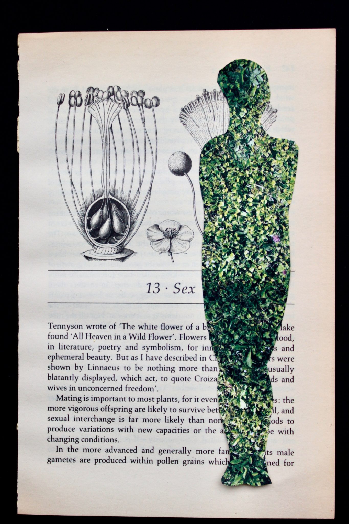 Yellowed book page with illustration and collaged female figure -outline grass ground cover