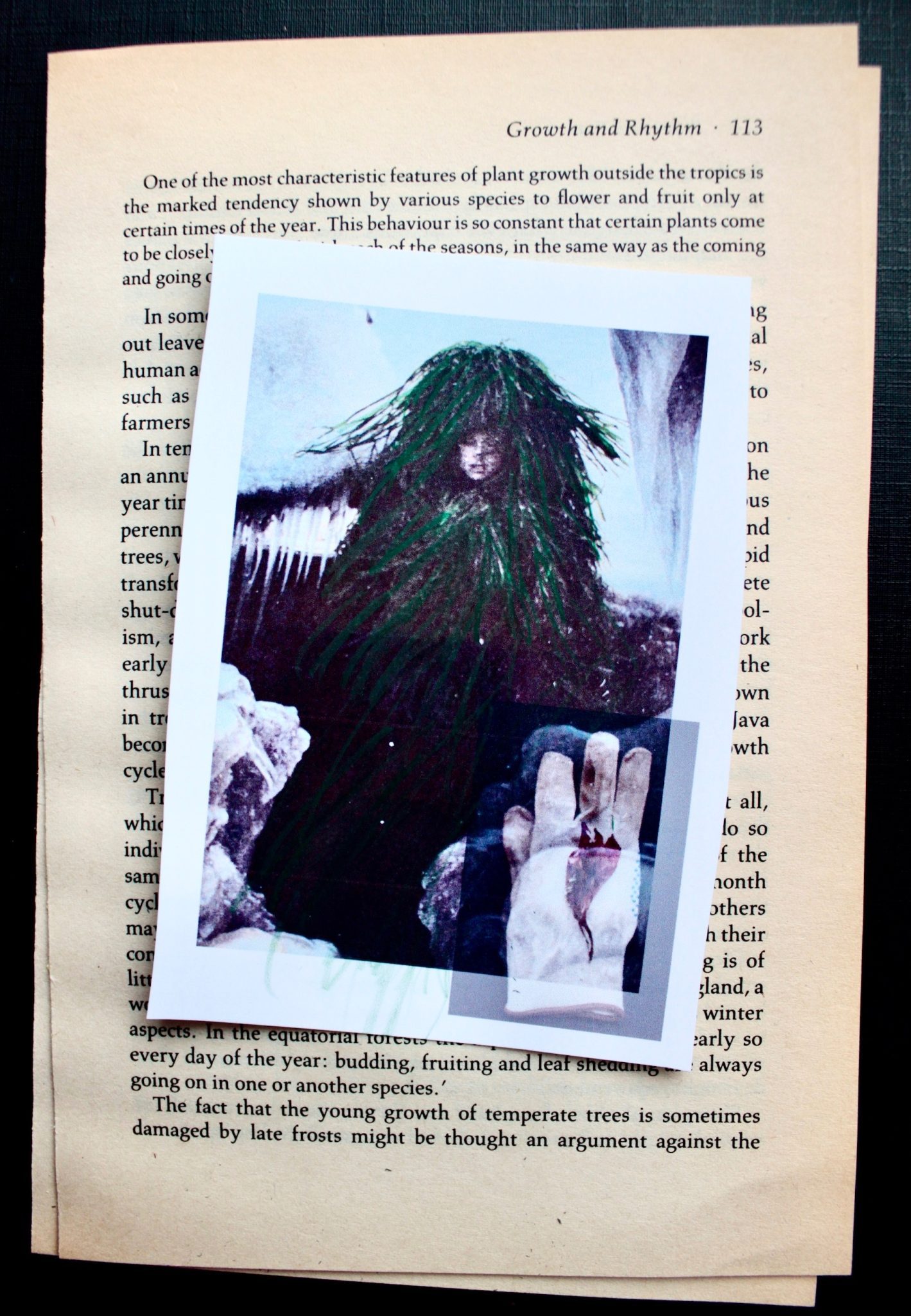 Yellowed book page 113 with collaged photo of Fern Shaffer, Winter Solstice