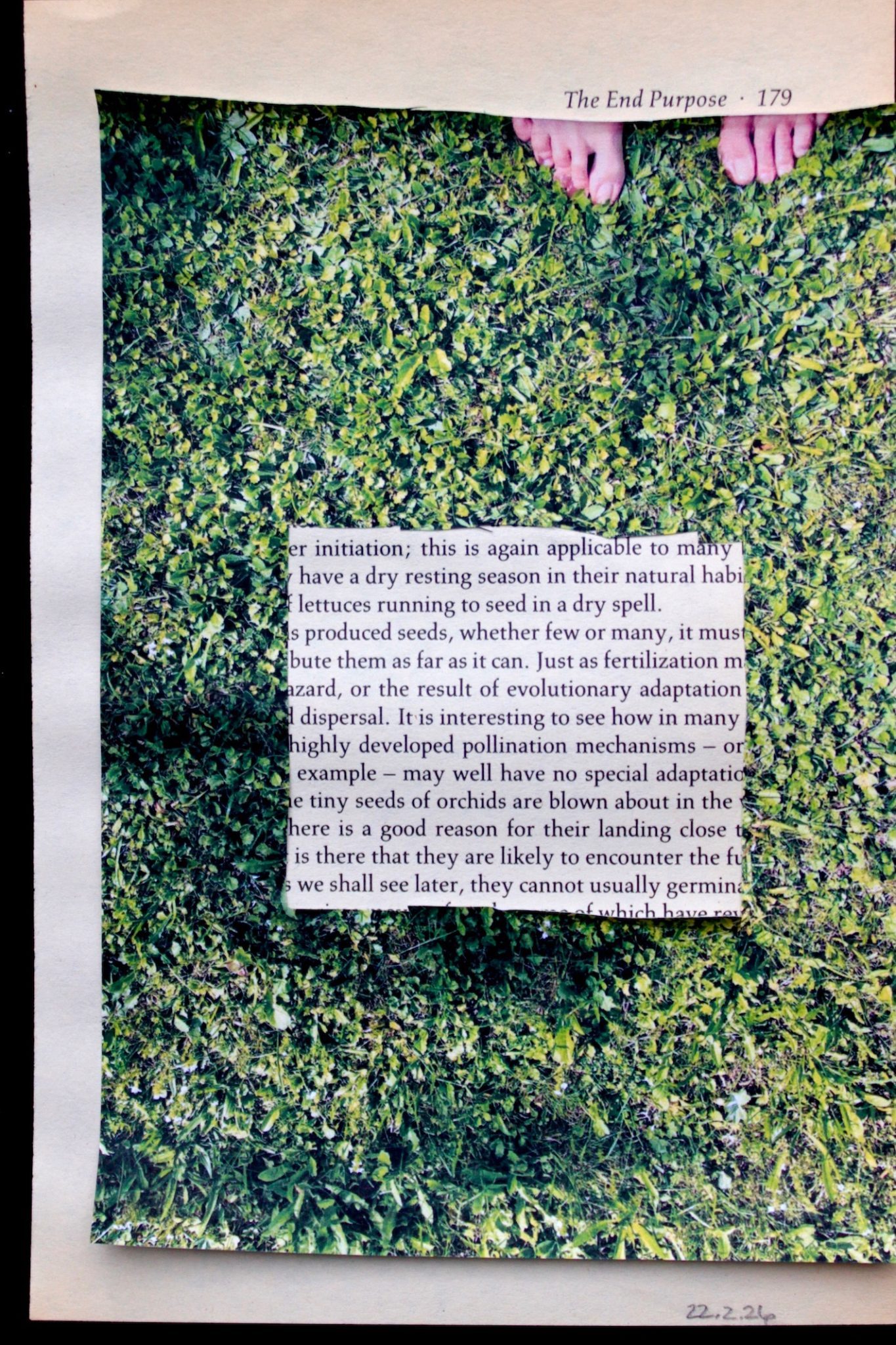 yellowed book page 179, collaged photo of grass with square cut our of center revealing text below