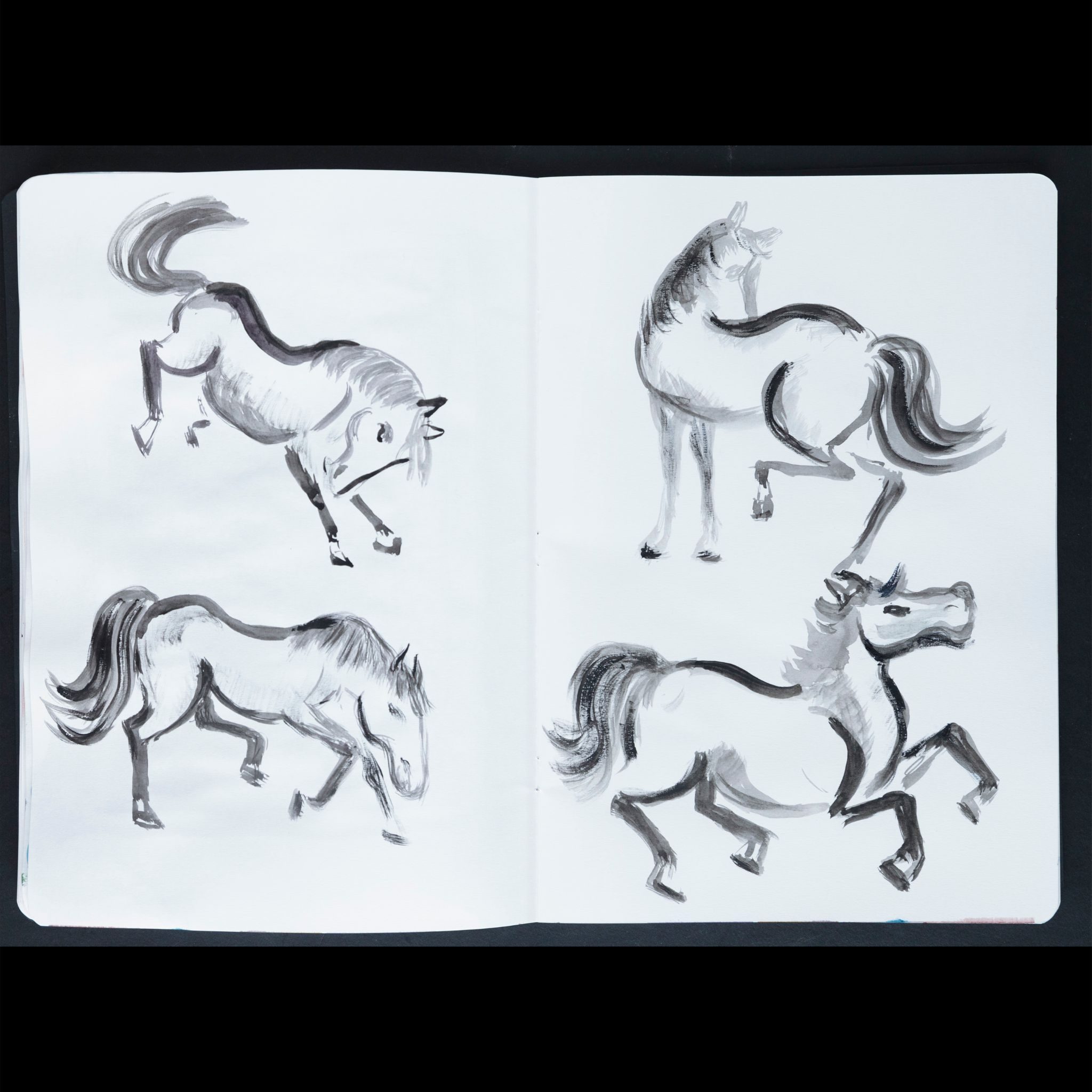 4 loose black watercolour images of horsesmoving