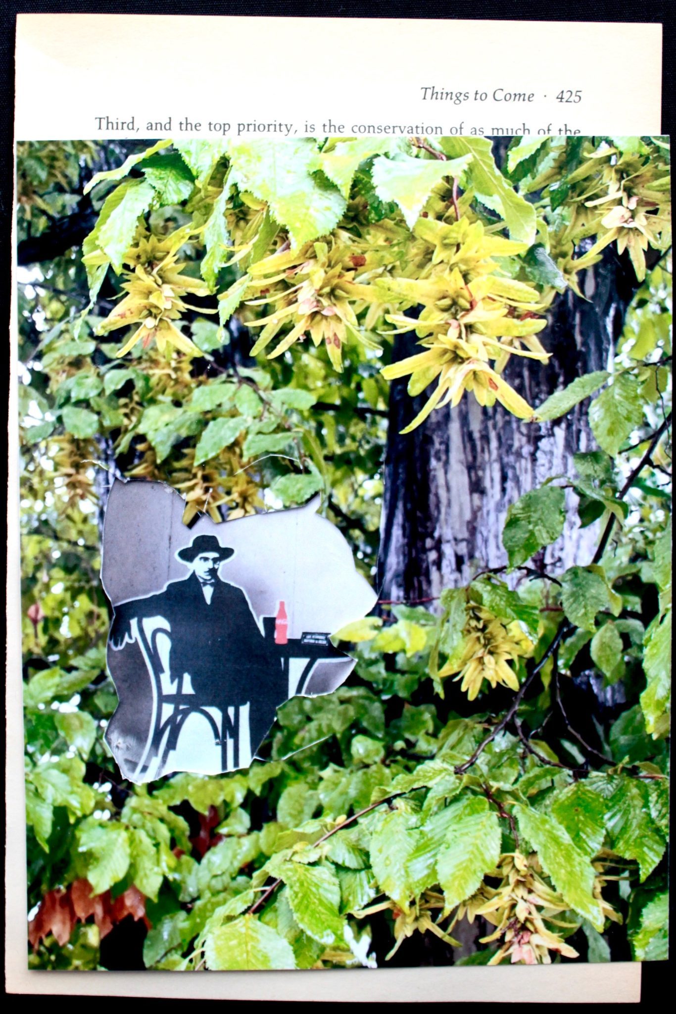 collage of man sitting at table surrounded by green growth on book page 425