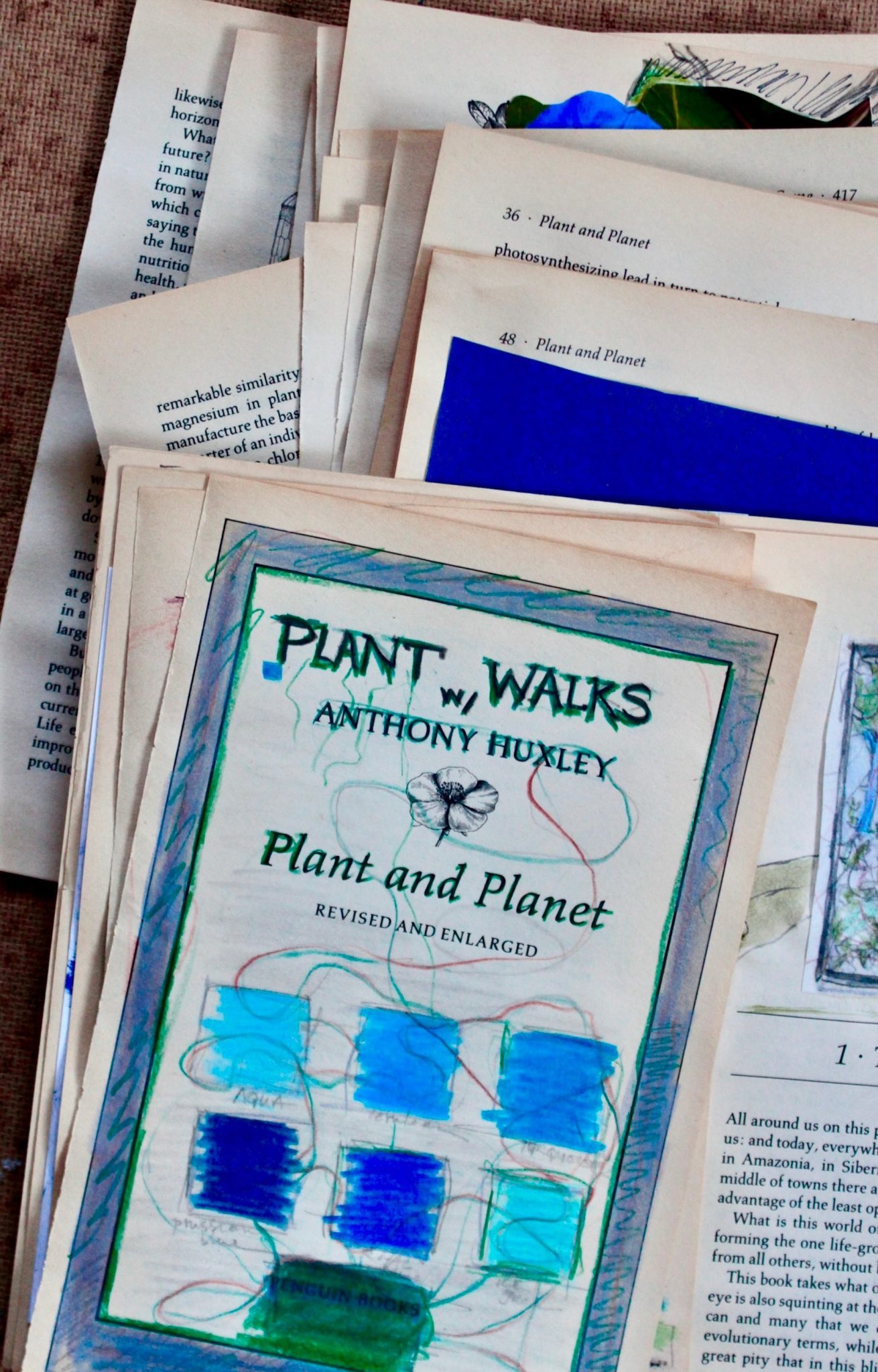 messy pile of 30 pages of work for 30/30