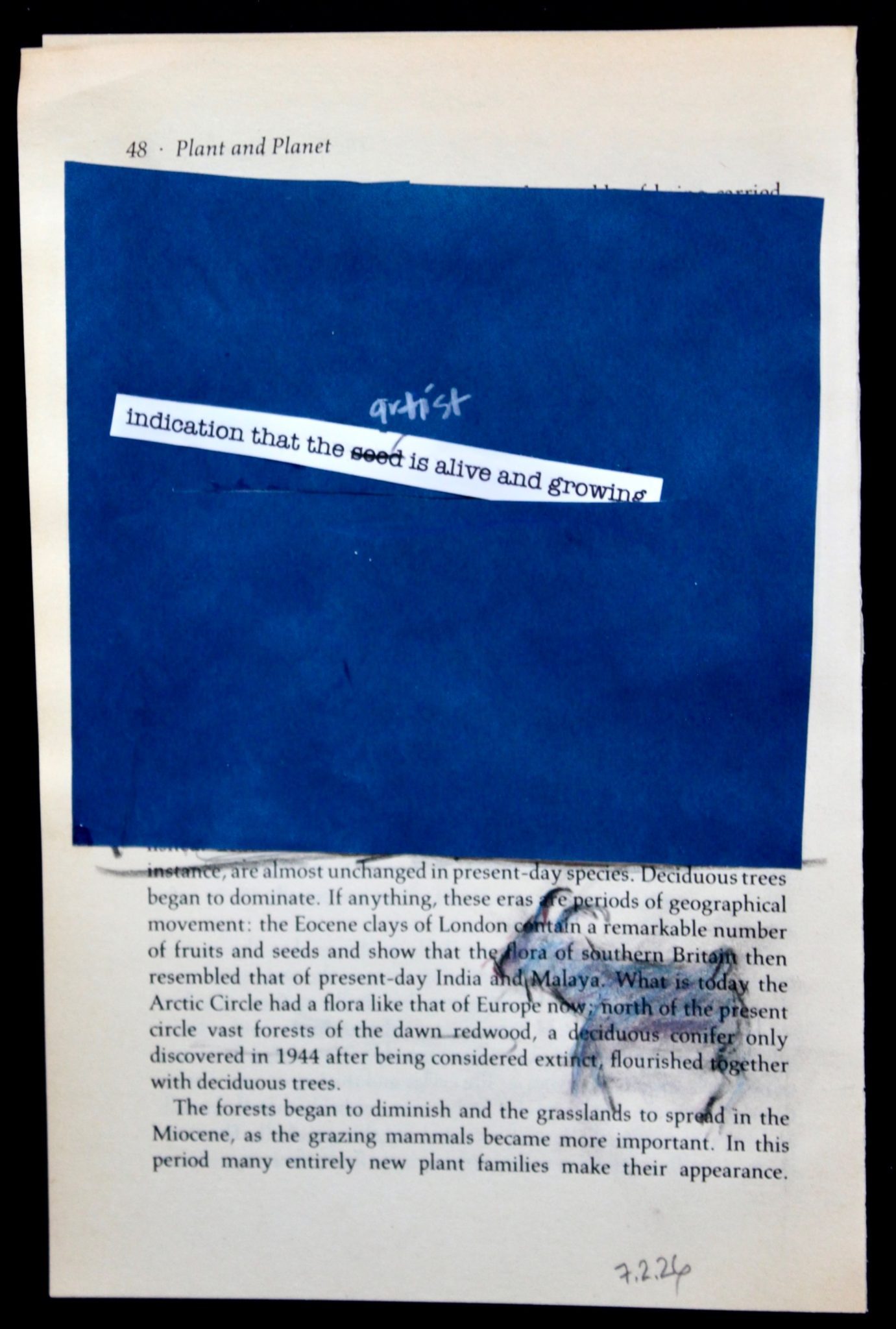 cyanotype and drawing of goat over yellowed book text