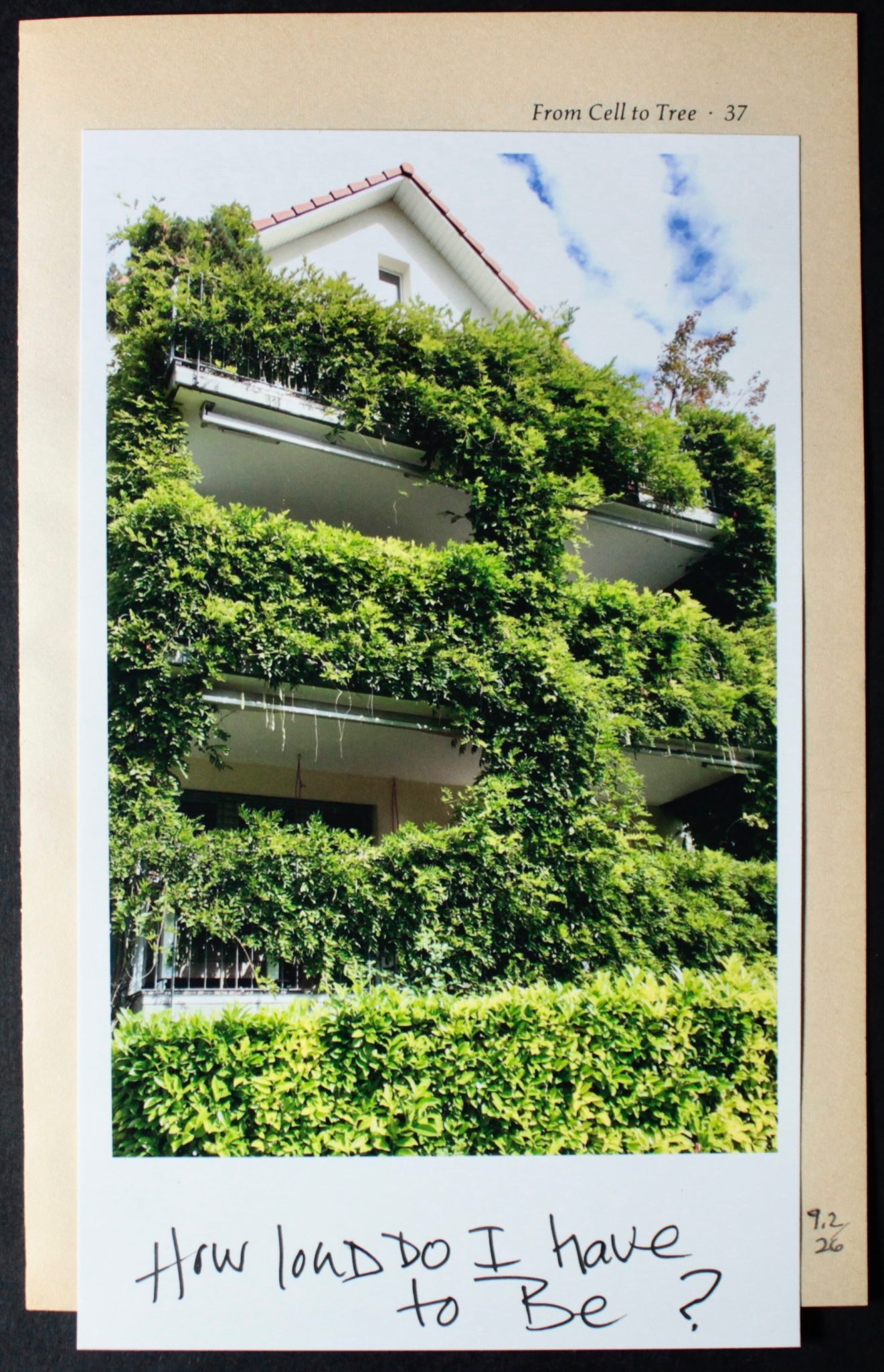 photo of vegetation swallowing a house collaged onto yellowed book page (37) Text: How loud do I have to Be?
