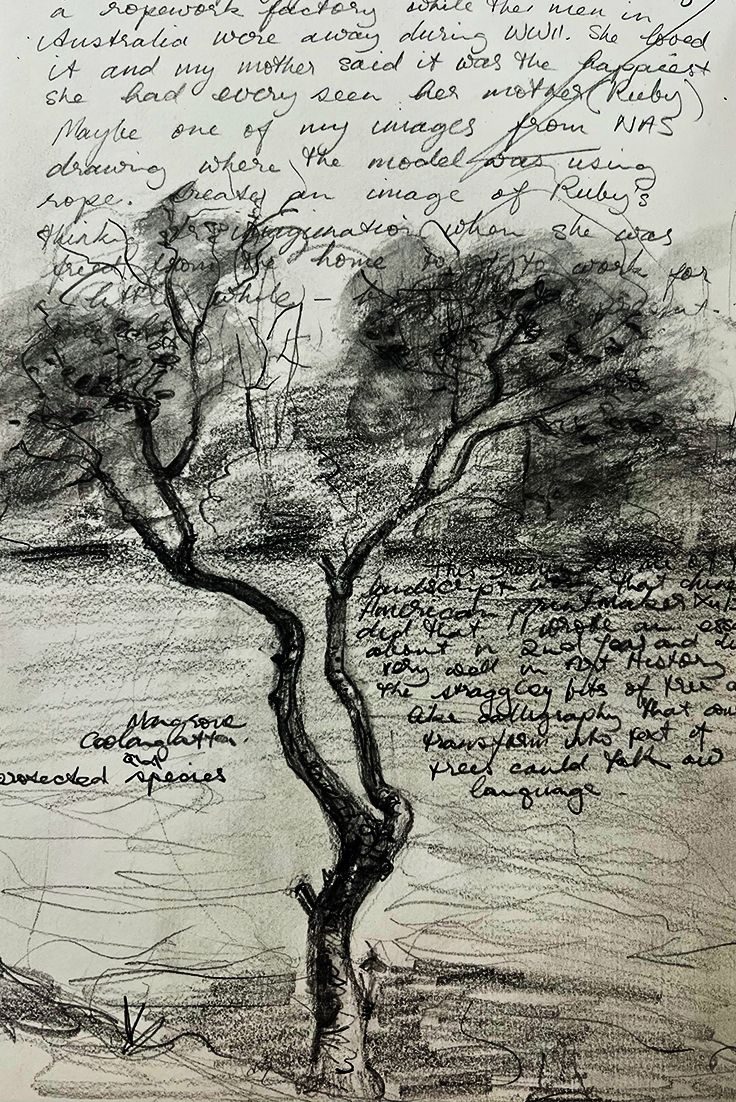 Pencil portrait in my sketchbook of a Mangrove in a water way near my brothers house in Queensland Australia