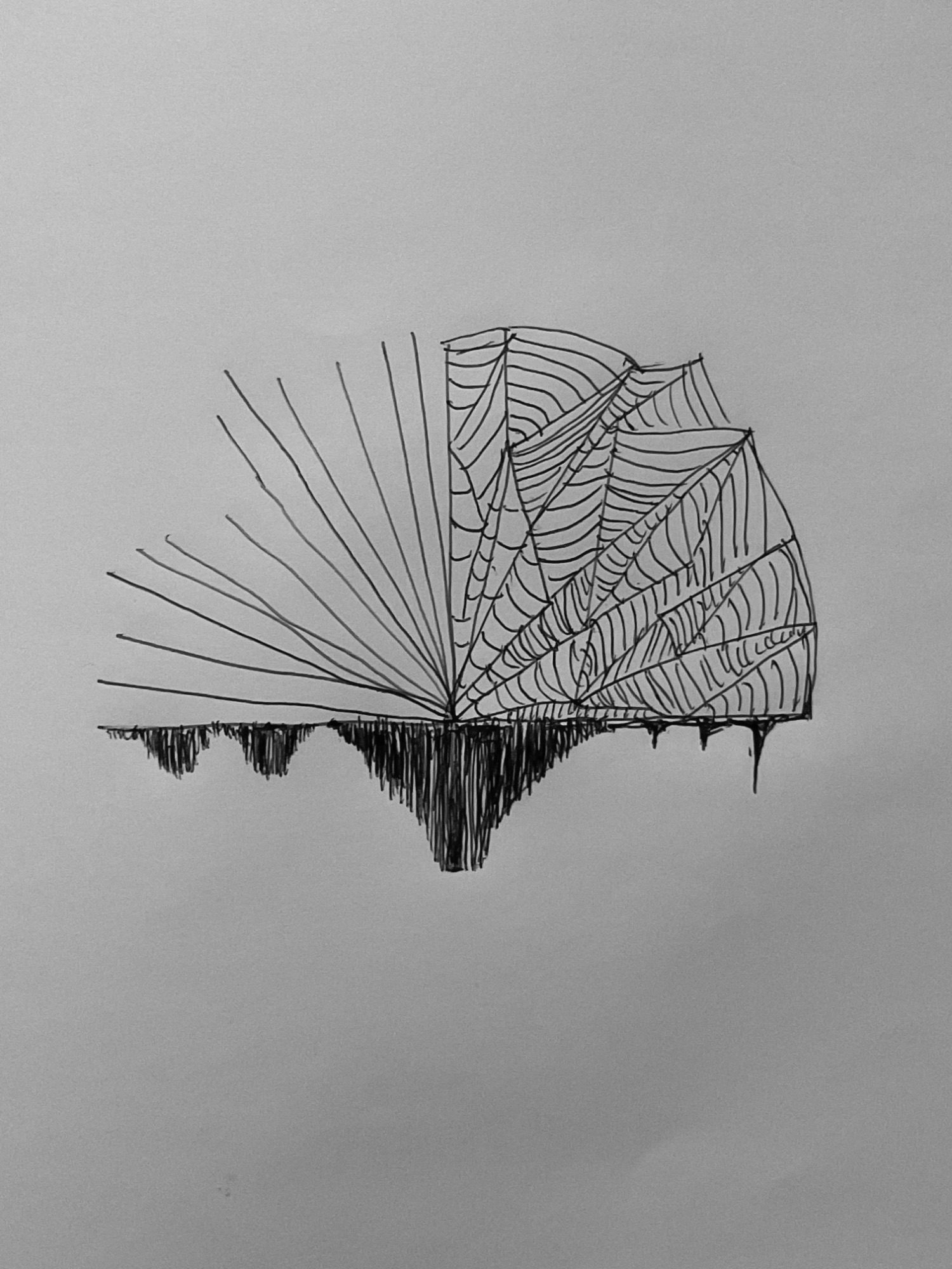 An abstract drawing of nets, lines, soundwaves and spiderwebs