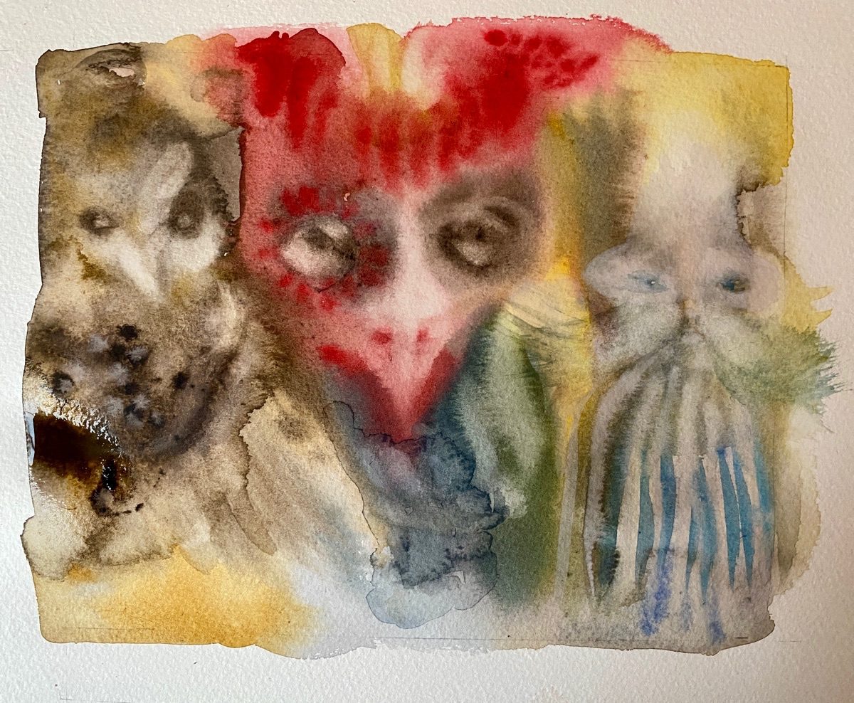 A nebulous wash of watercolour on paper. A vague emergence of three creatures, characters or folk. With masks in mind, two Strong beaked creatures appeared, particularly the middle character with its bright red plumage. Creature to the left is a softer brown owl- like bird and on the far right appears a striped but very pale and ghost-like  - with swooping white whiskers - also cat-like . they are like three characters in a play as they face the viewer in a tight knit row.