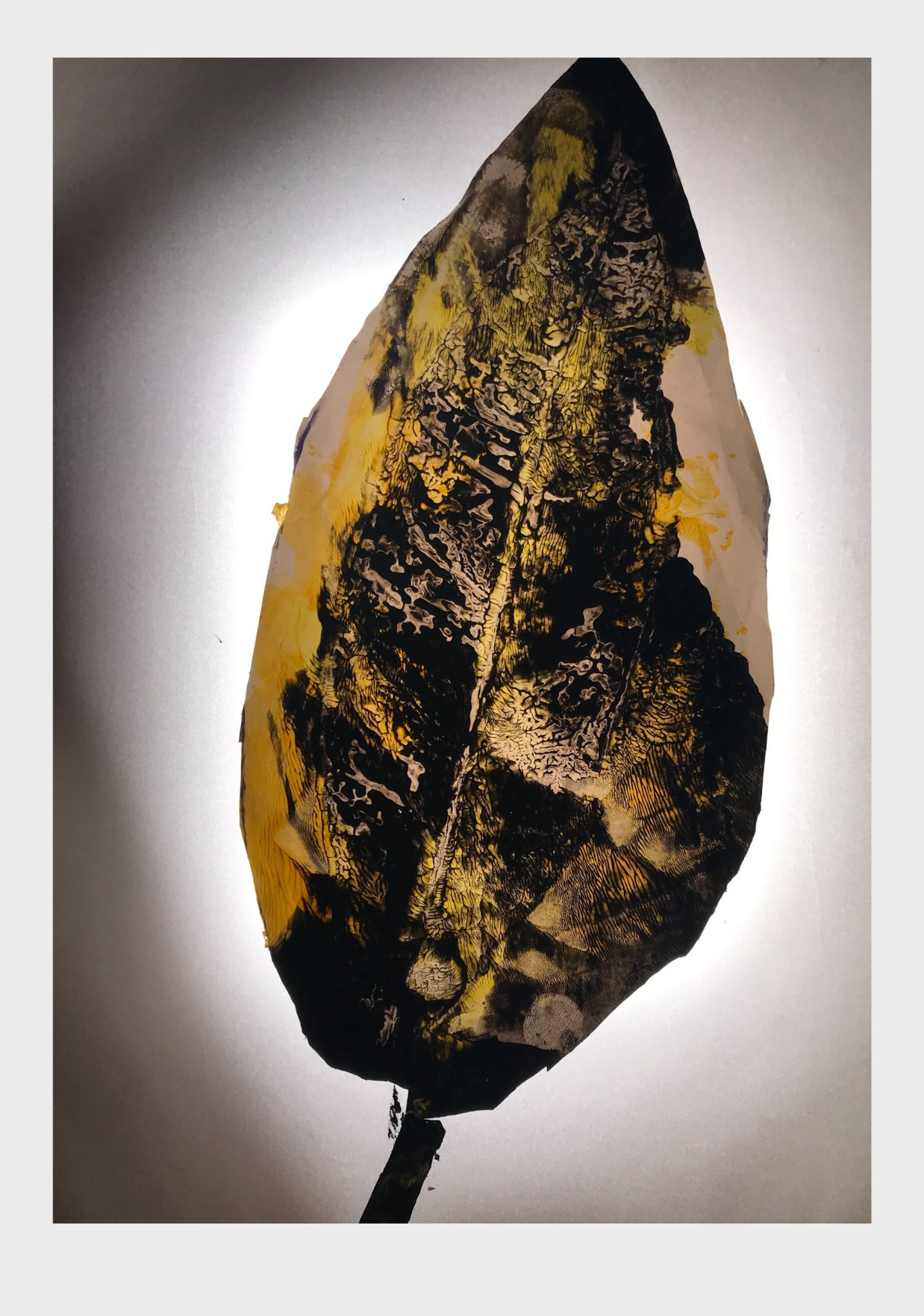 Leaf shape's cut off, mark with different leaf impregnated with acrylic paint, photographed with a backlight