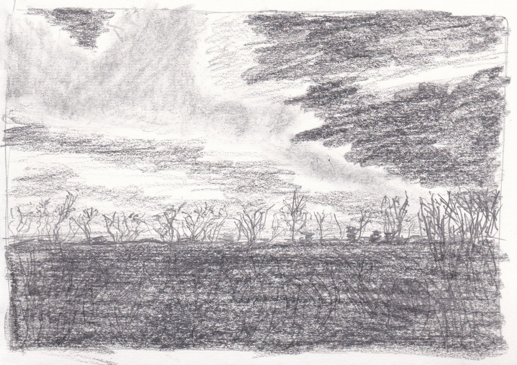 I take a lot of sky photos and am currently revisiting them from 2016 as part of a Memory Project, using drawing to revitalise memories where photos just get lost in the stream