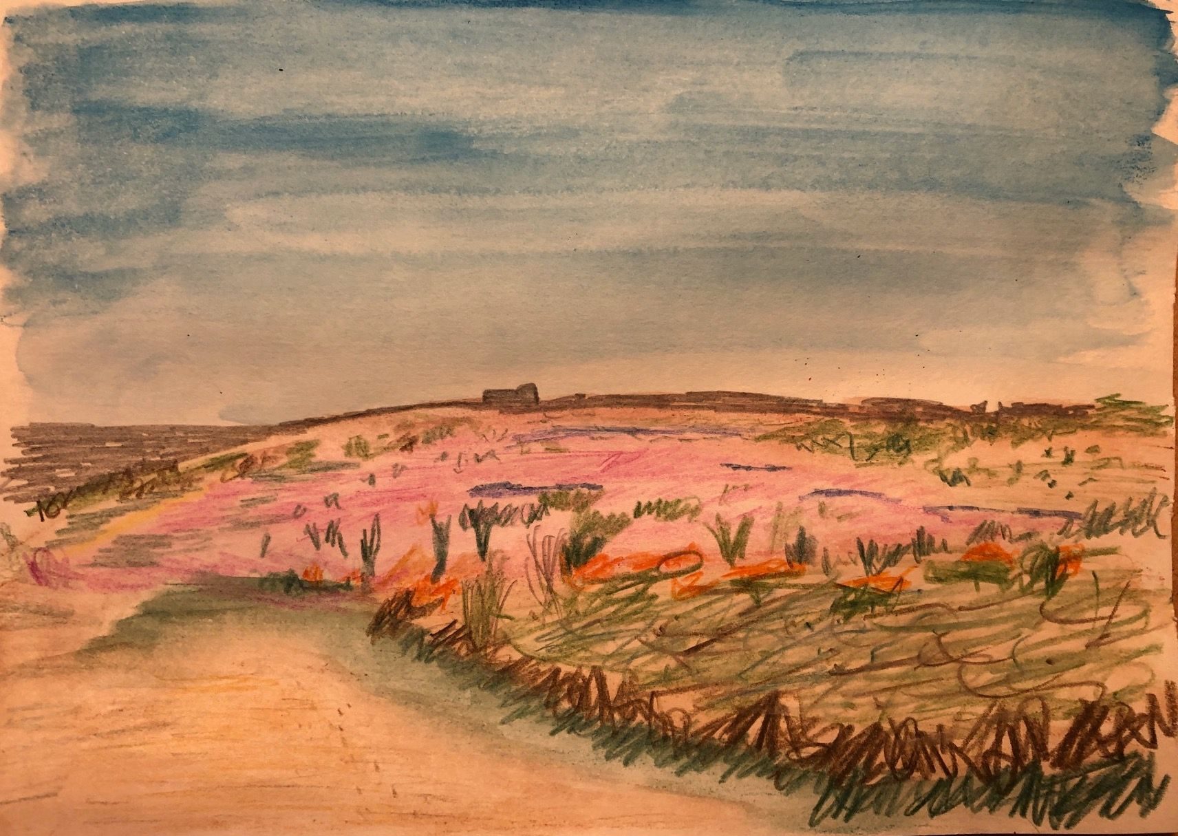 Coastal scene with heather and scrub and power station on the horizon recreated in coloured pencils