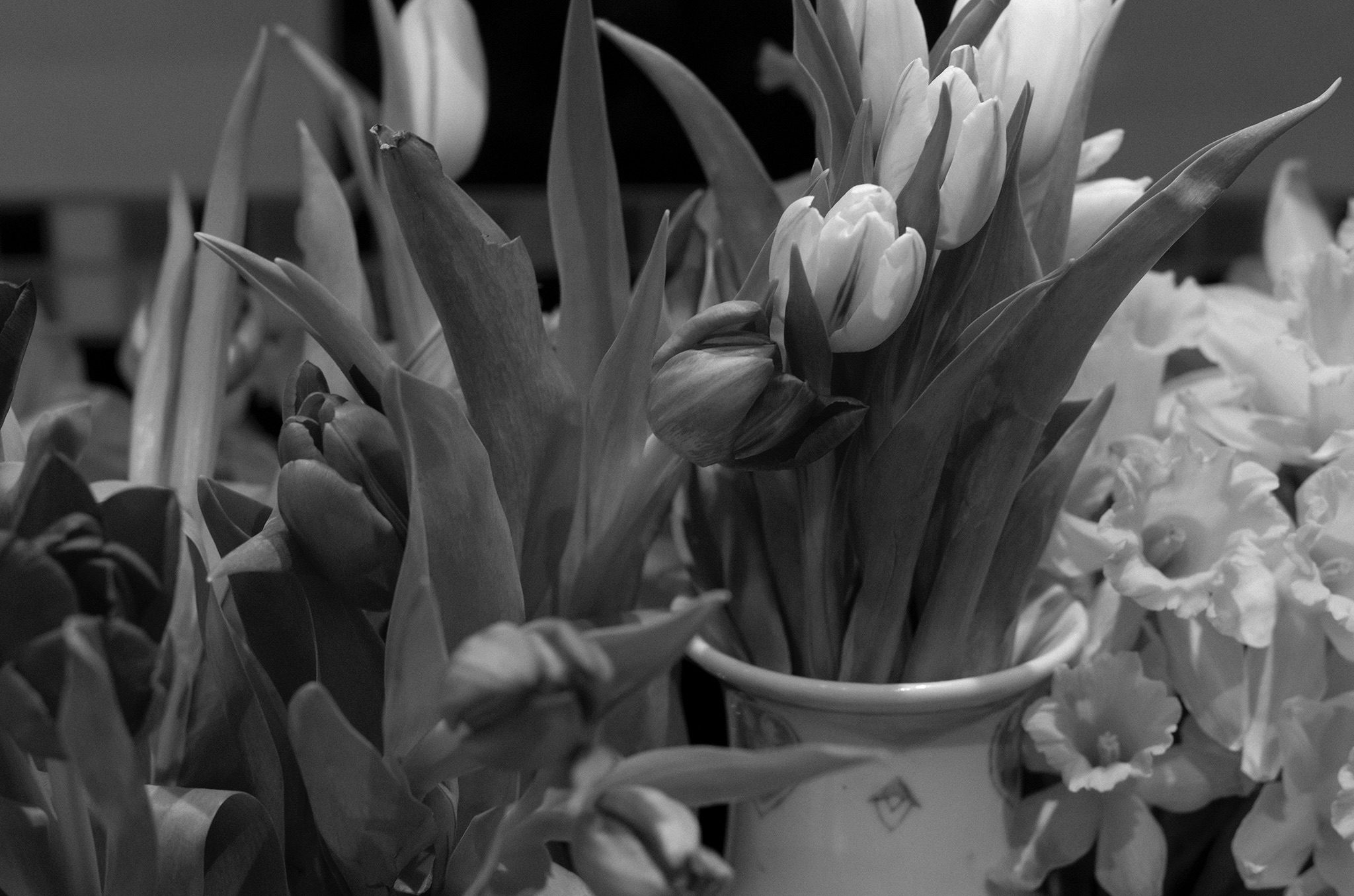 Black and White Image of Tulips and Daffodils against a white and black tile background