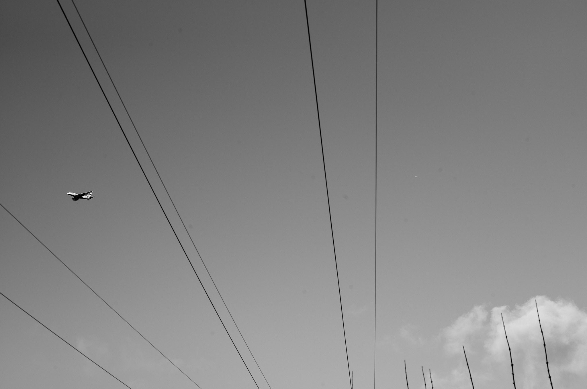 Black and White image of a plane in the blue sky with power lines, small white fluffy cloud and tree branches with no leaves on them.