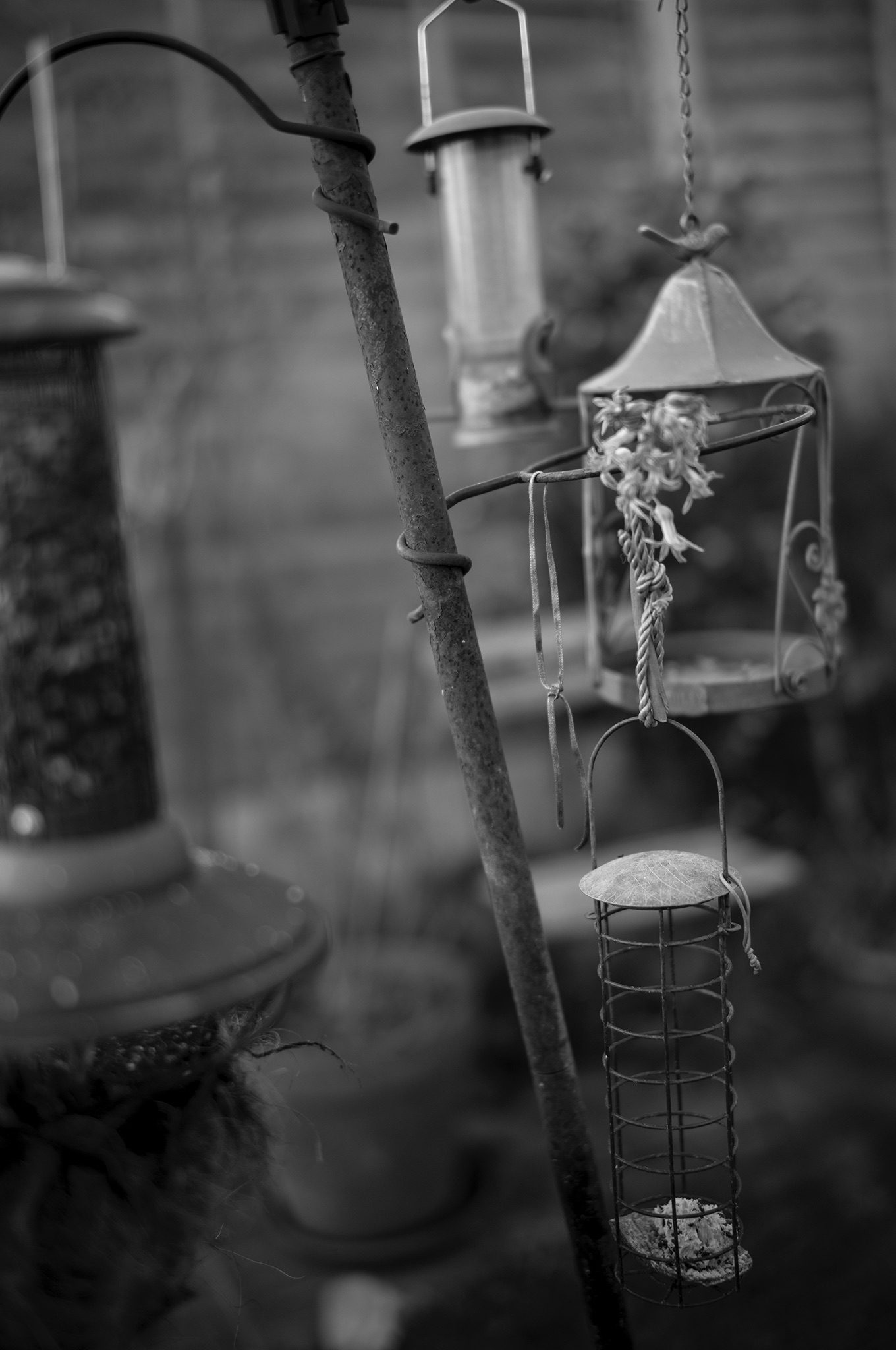 Black and White image of the bird feeders in the garden