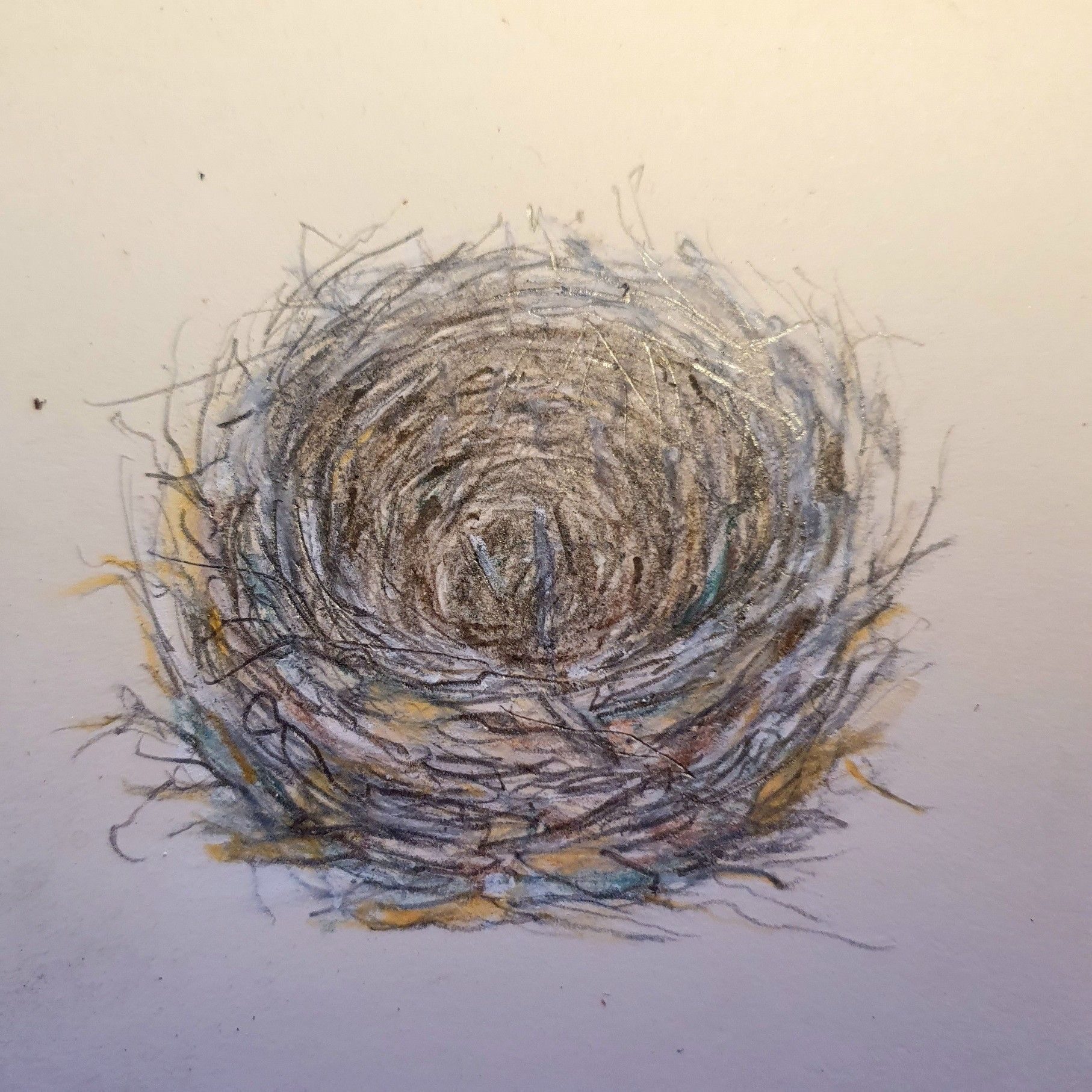 Colour crayons sketch of a bird's nest