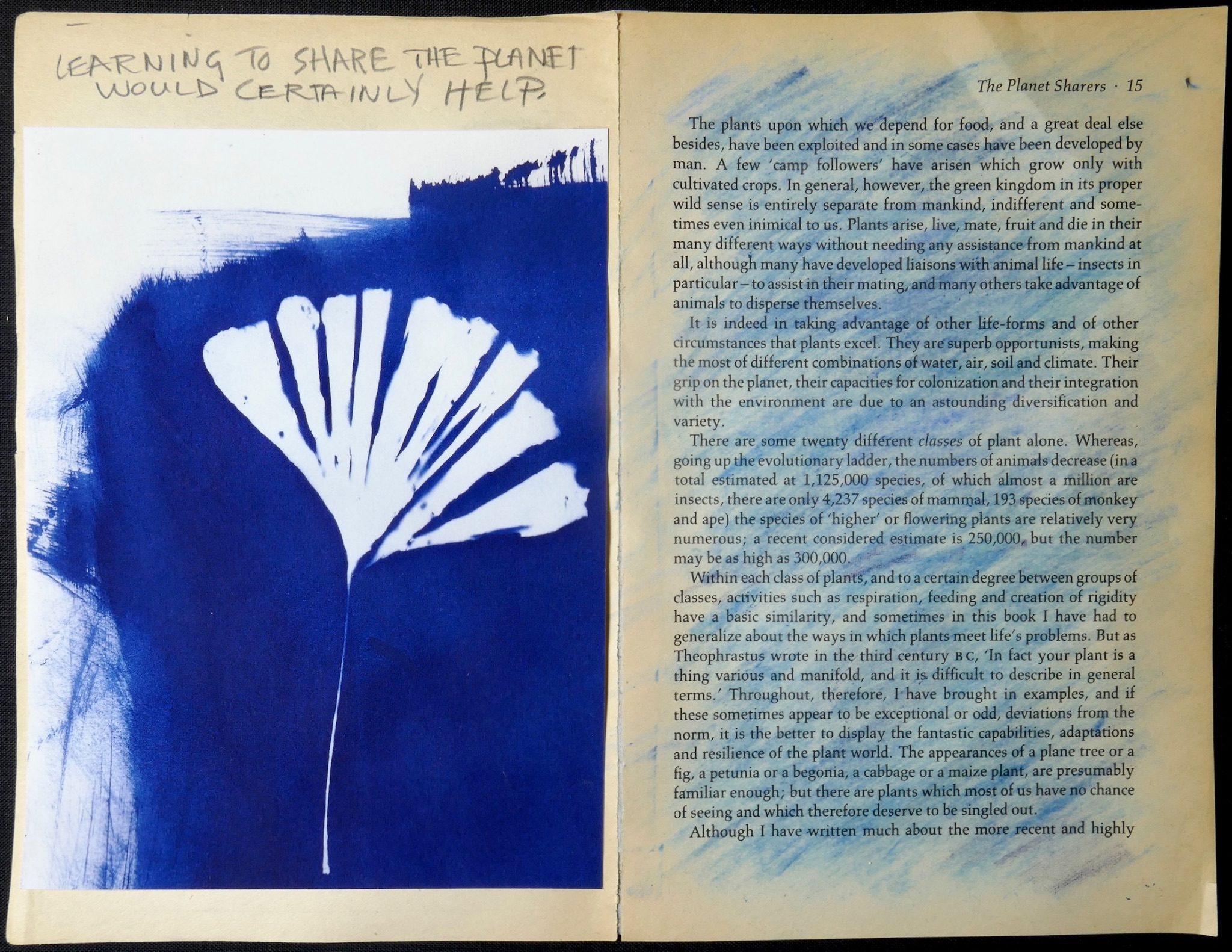Cyanotype of plant with text, Text from book drawn over with blue pencil