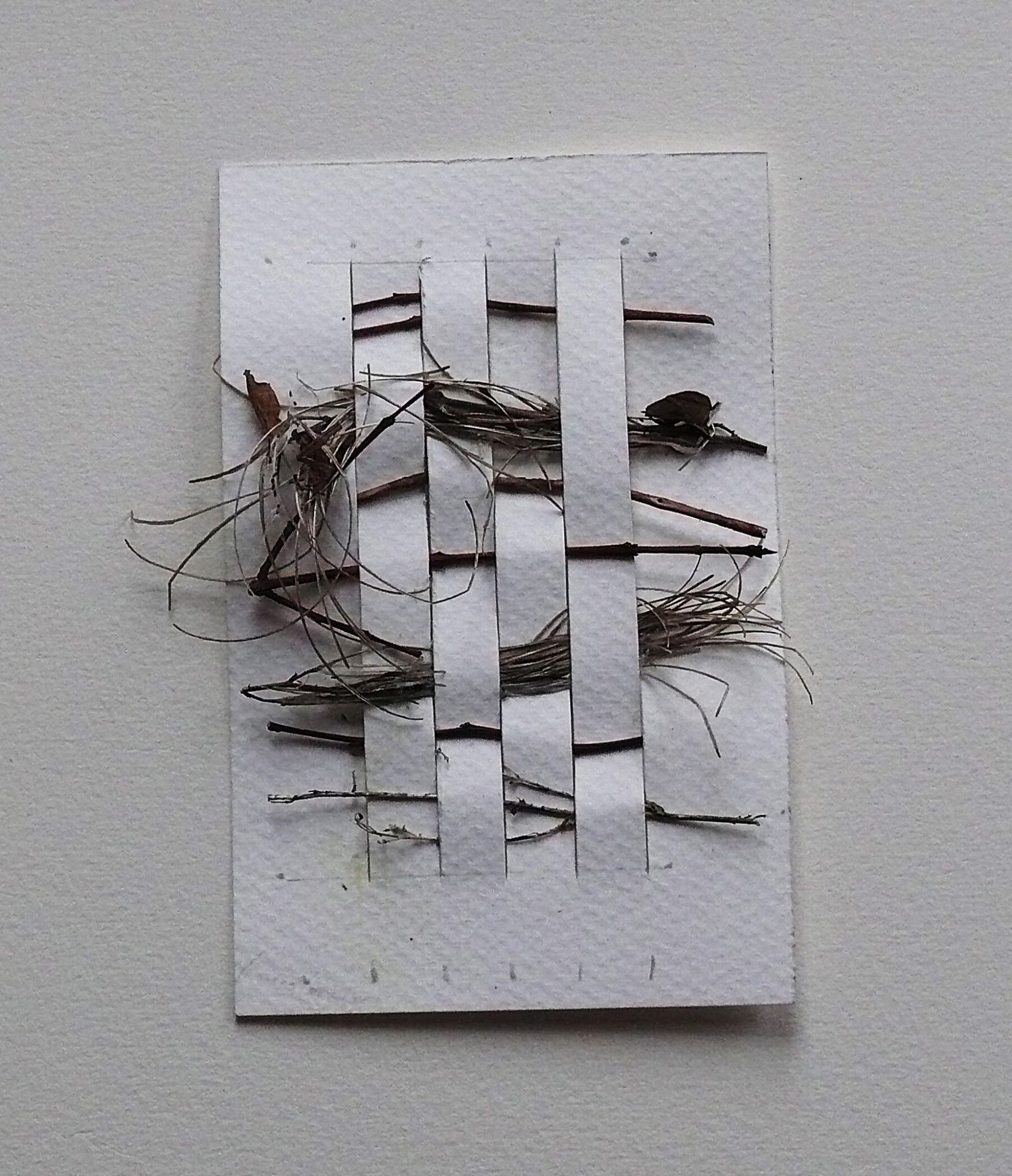 these are some pieces I collected outside and have worked into the paper