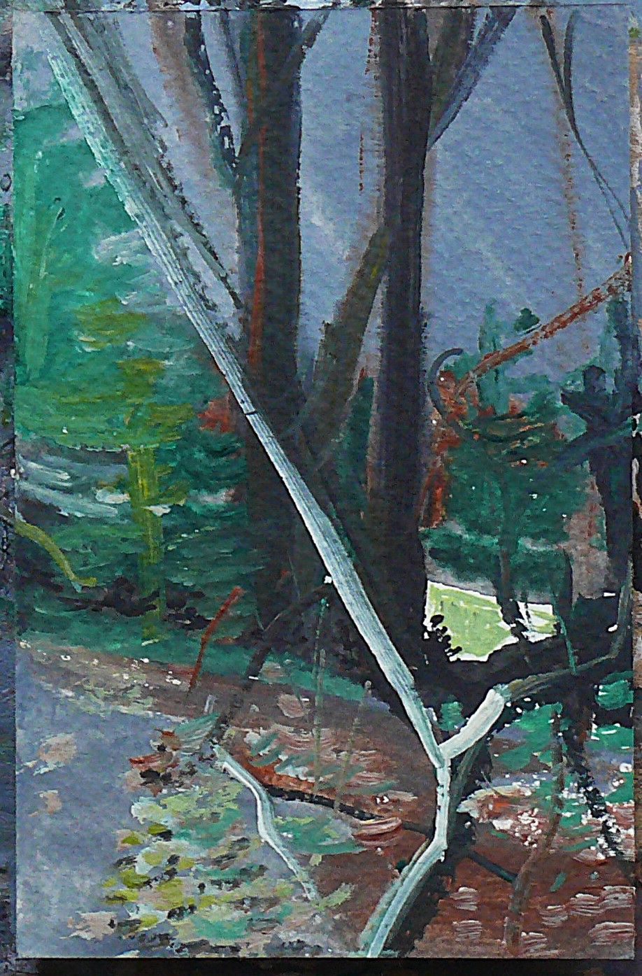 watercolour in the woods