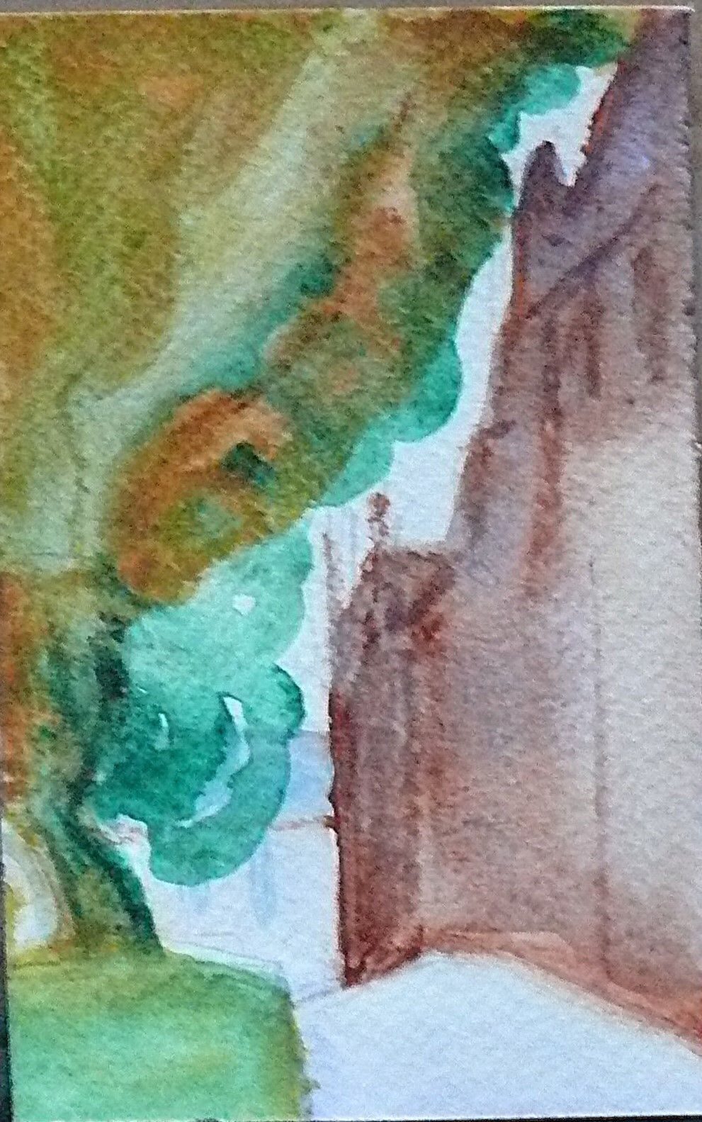 the tree and the building, both old are trying to out grow each other