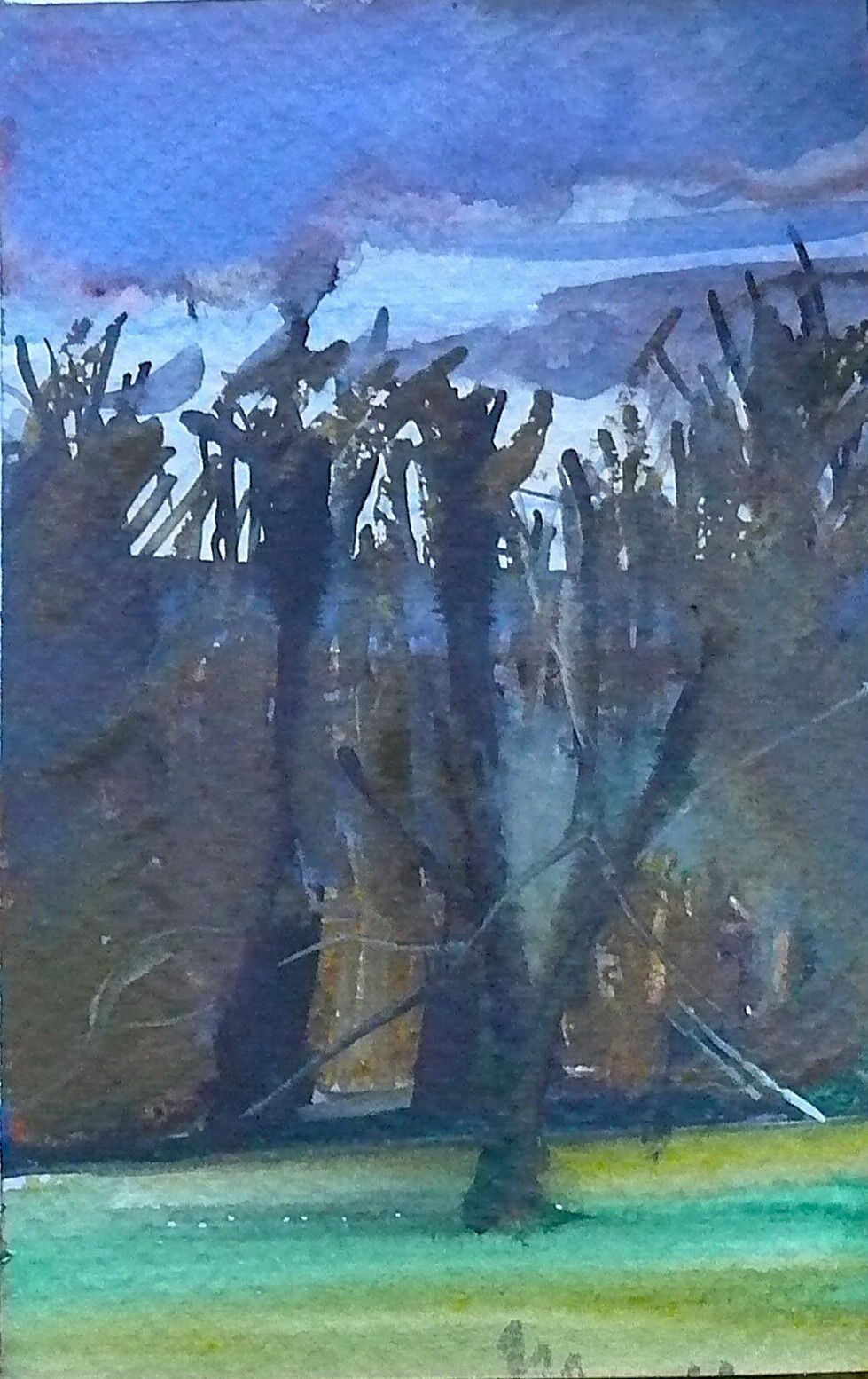 watercolour of trees under a dark sky