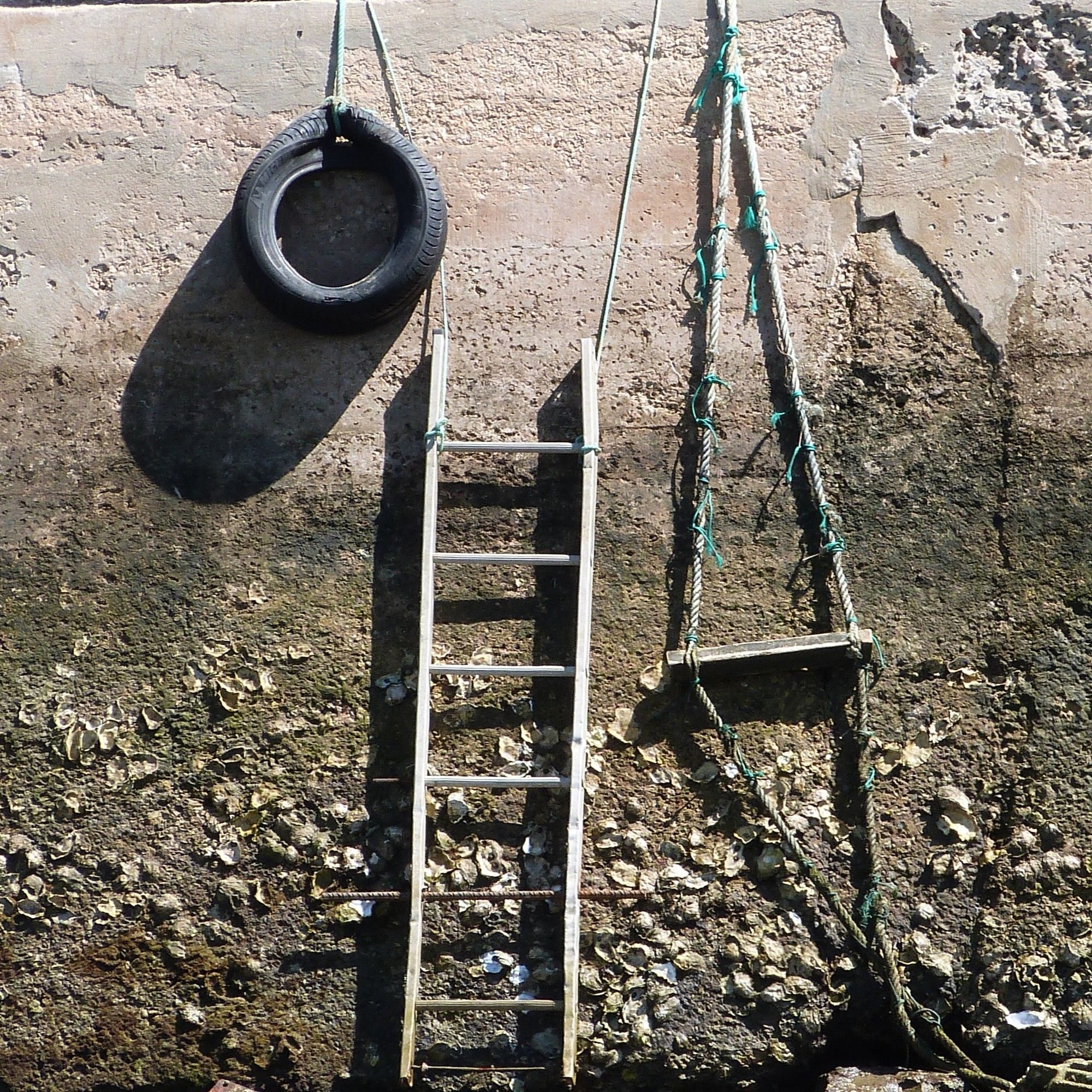 Photo of harbour wall with rusty iron ladder , rope and buoy.