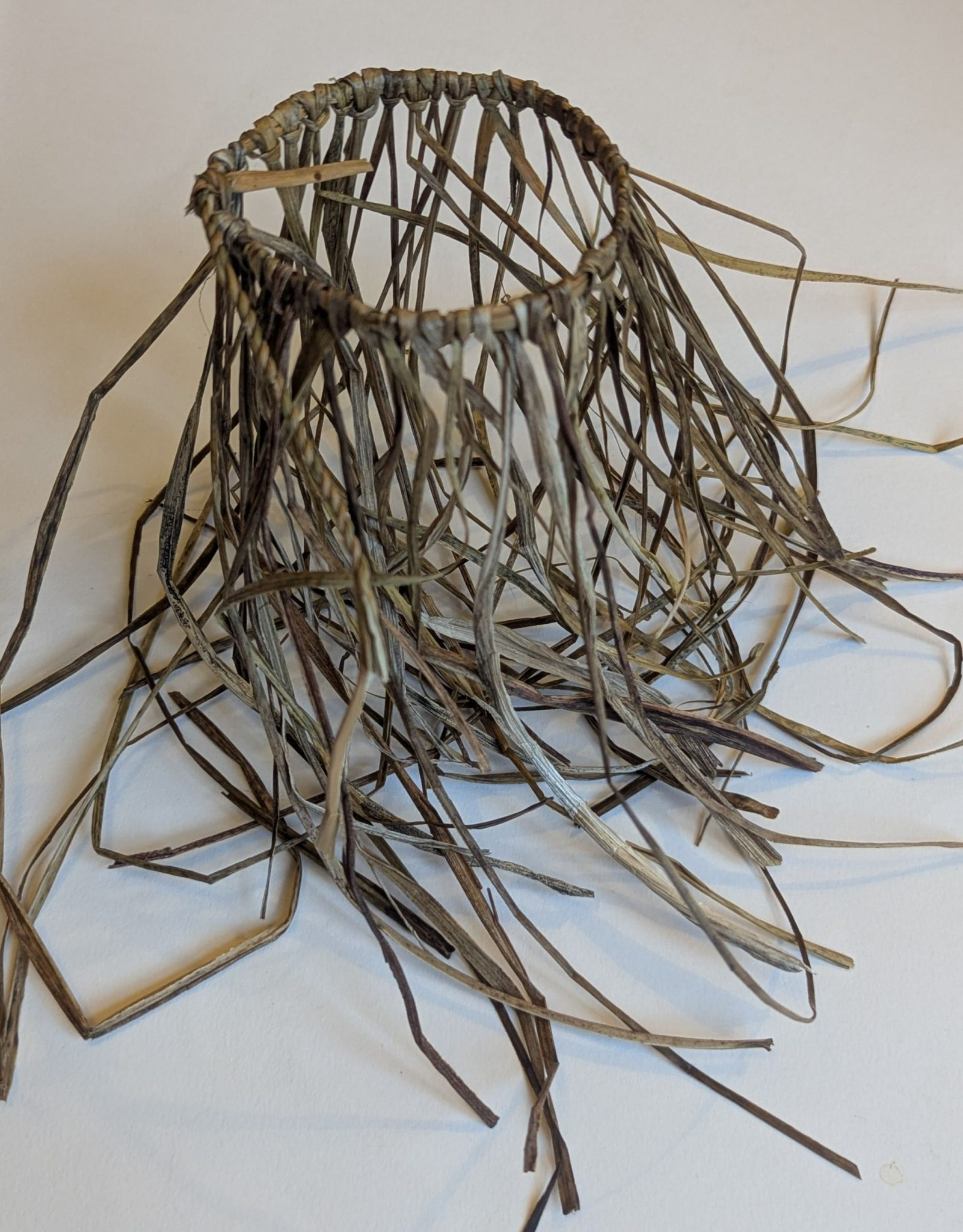 rush and red hot poker leaves